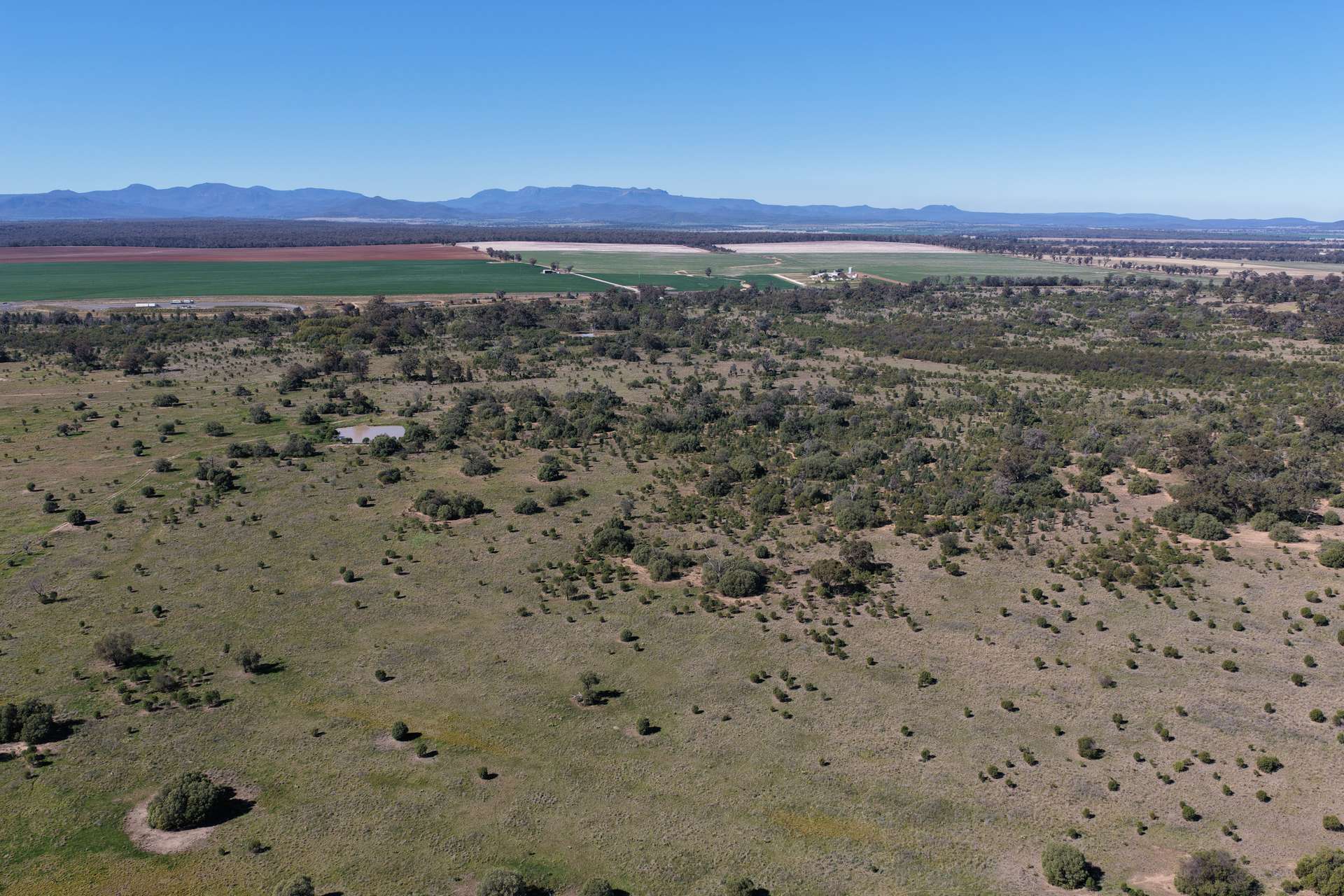 625 Logans Lane, Narrabri Auction by Farmbuy.com - image 18