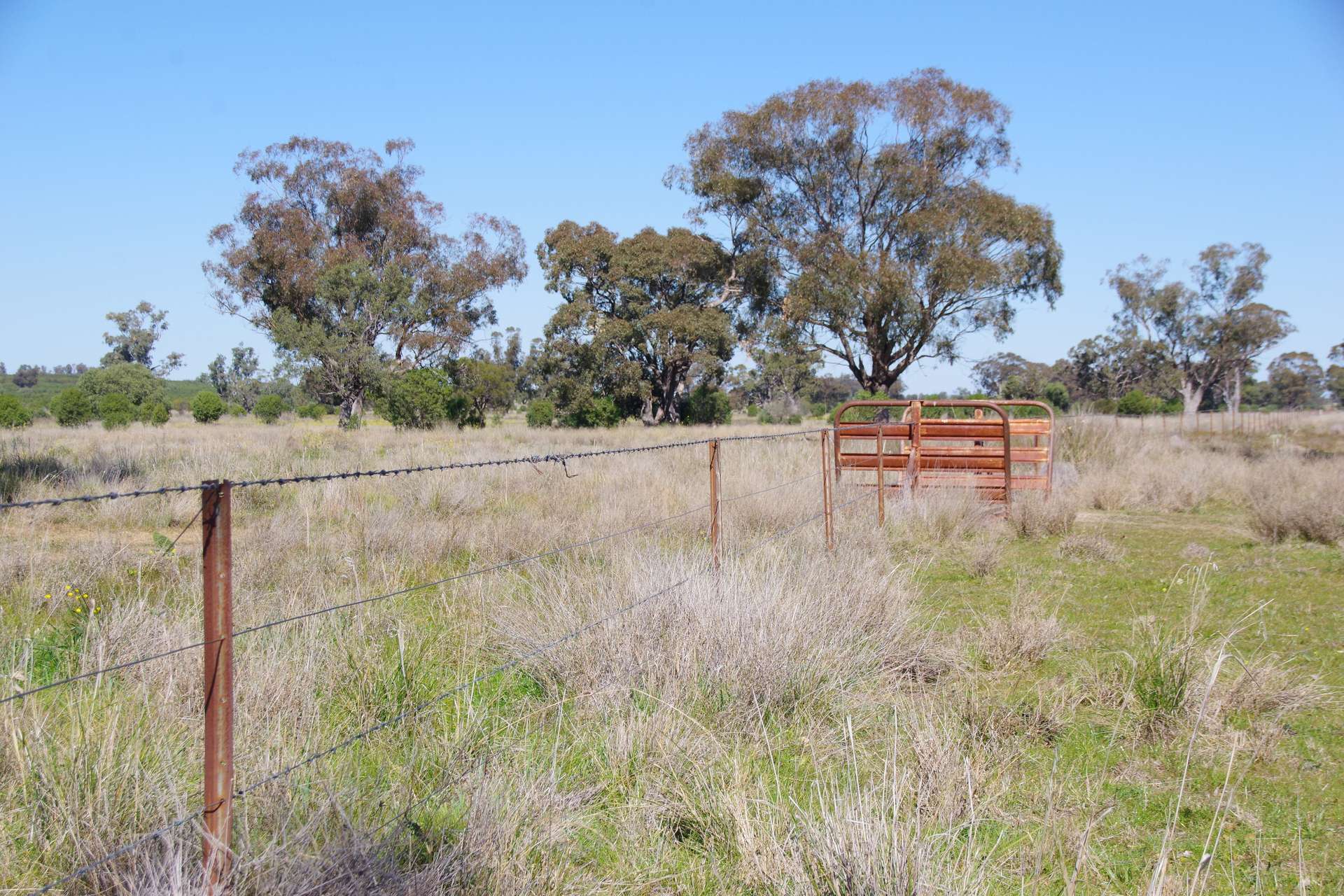 625 Logans Lane, Narrabri Auction by Farmbuy.com - image 14