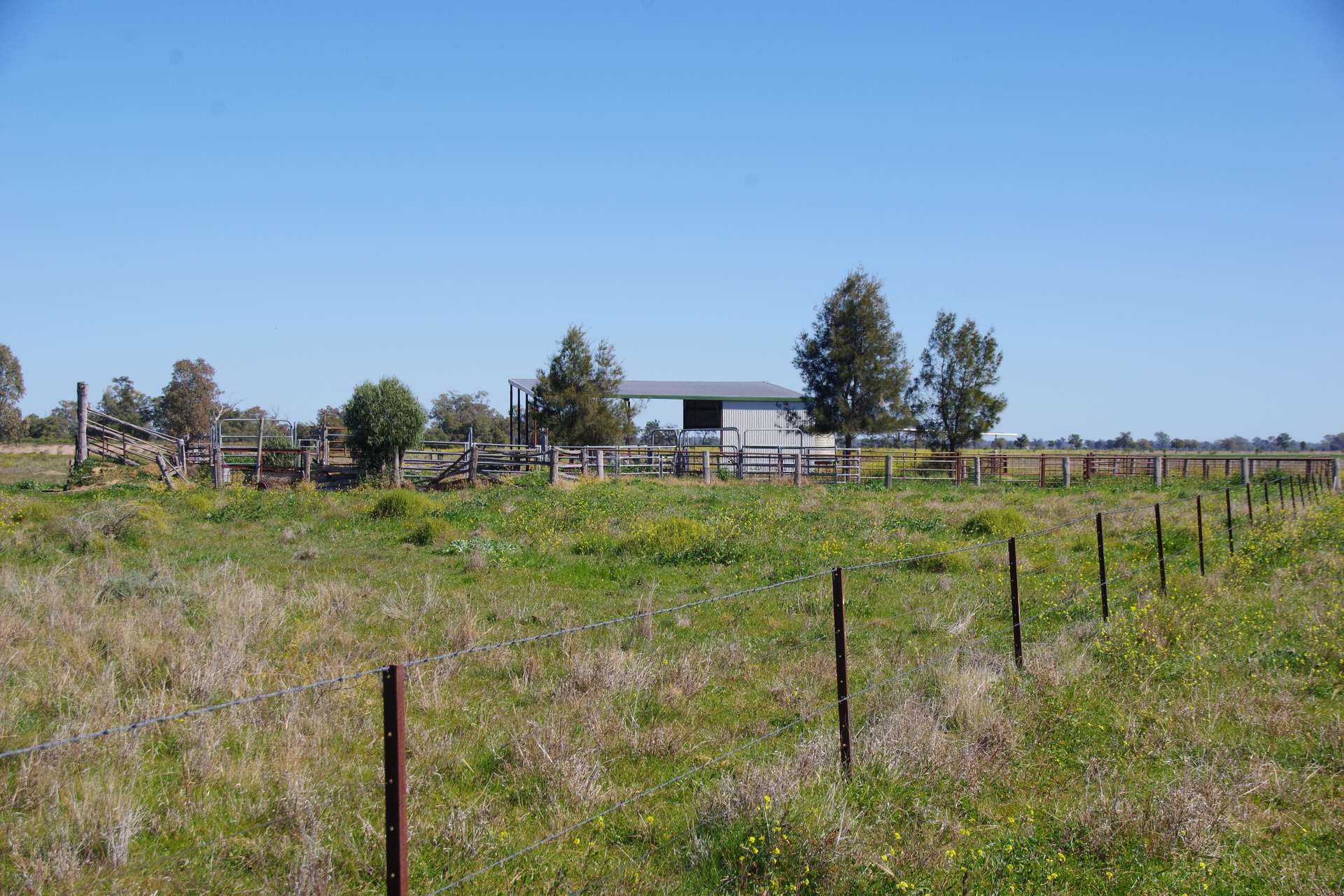 625 Logans Lane, Narrabri Auction by Farmbuy.com - image 26