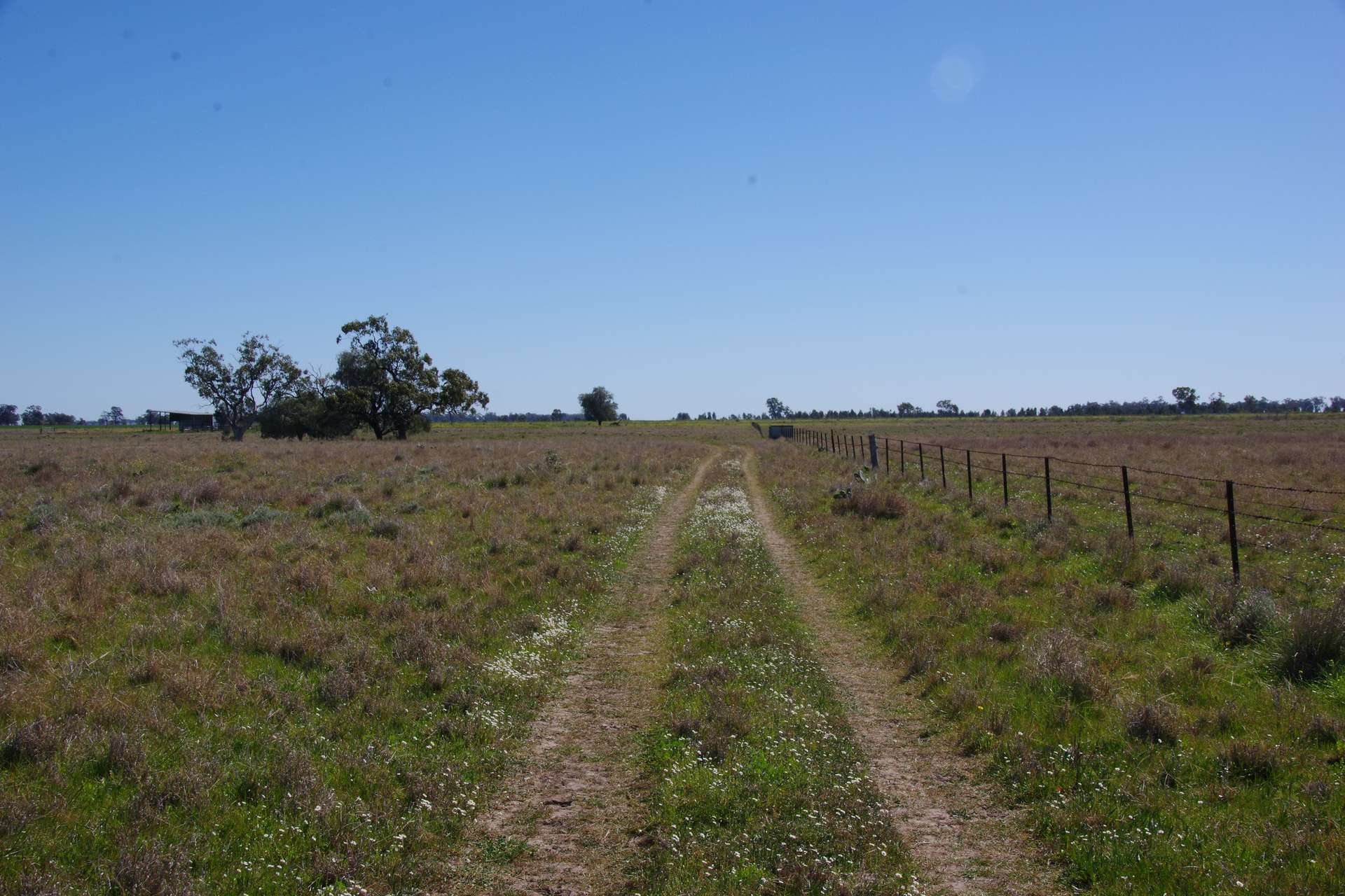 625 Logans Lane, Narrabri Auction by Farmbuy.com - image 35