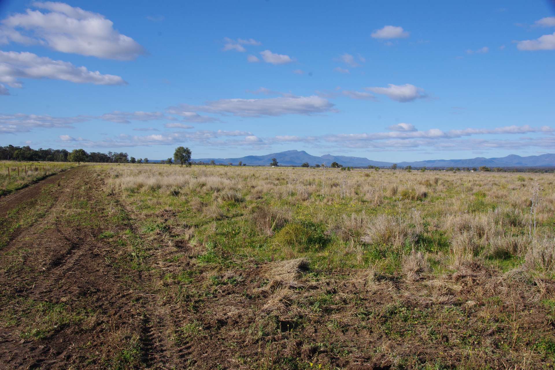 625 Logans Lane, Narrabri Auction by Farmbuy.com - image 5