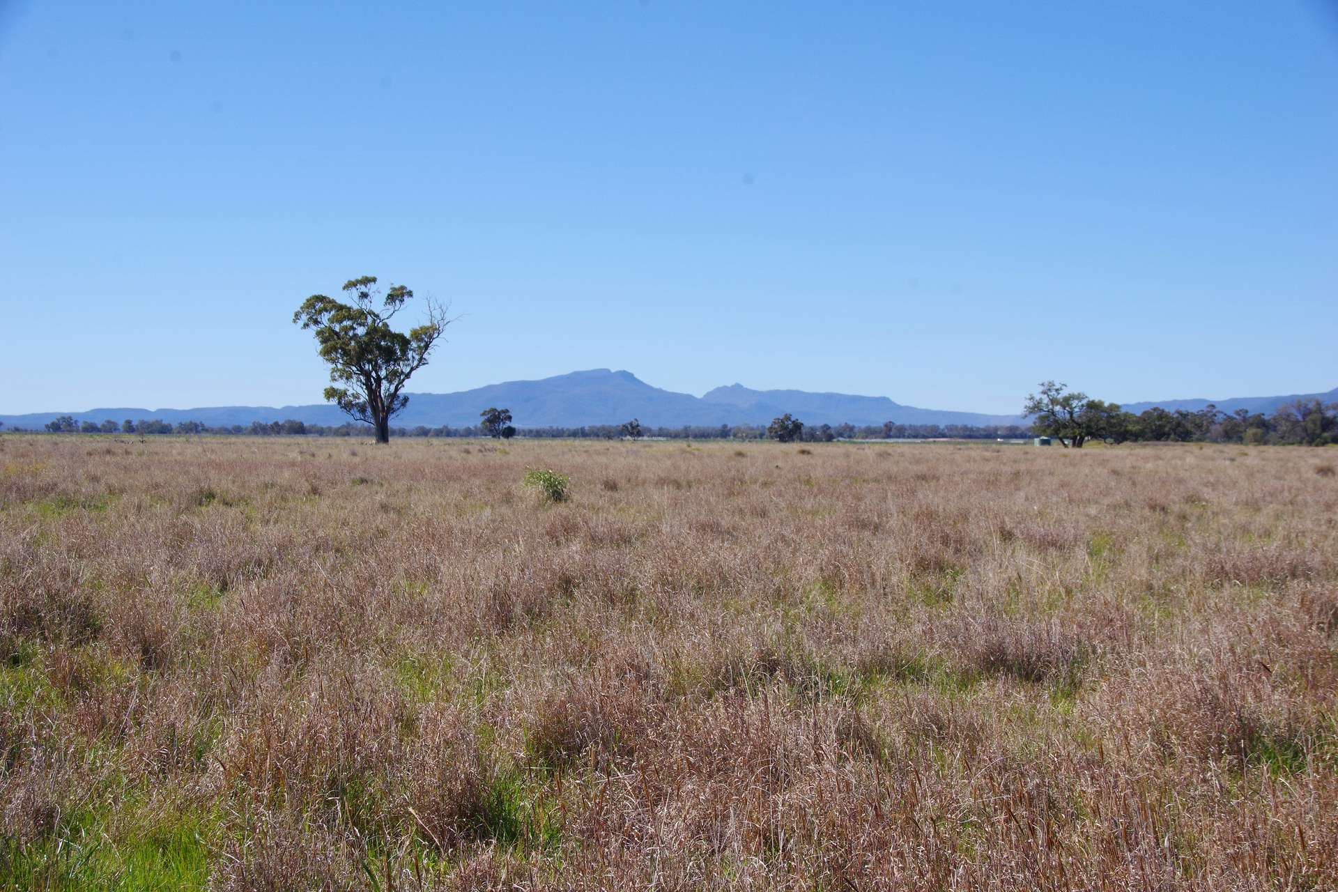 625 Logans Lane, Narrabri Auction by Farmbuy.com - image 7