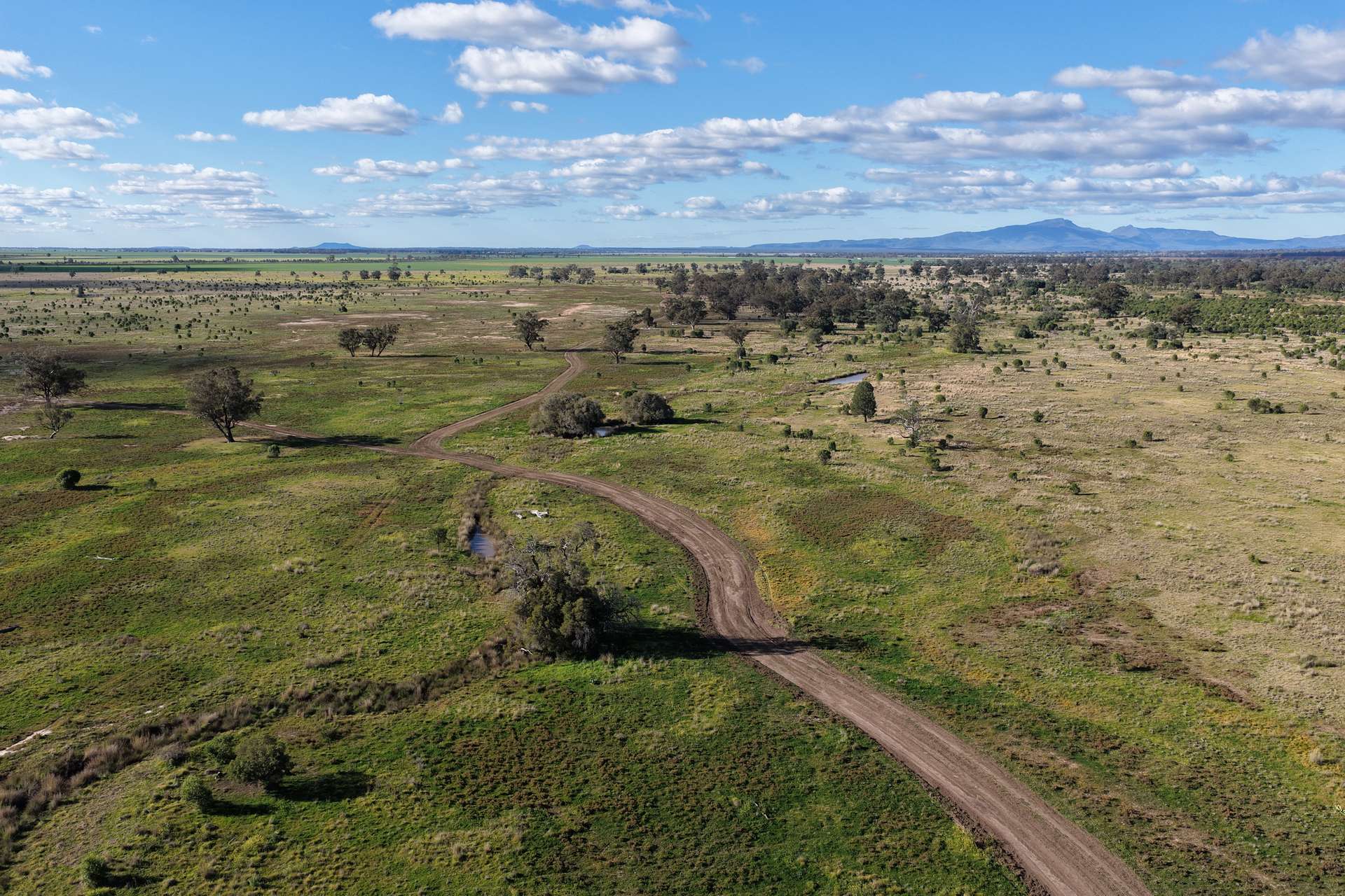 625 Logans Lane, Narrabri Auction by Farmbuy.com - image 6