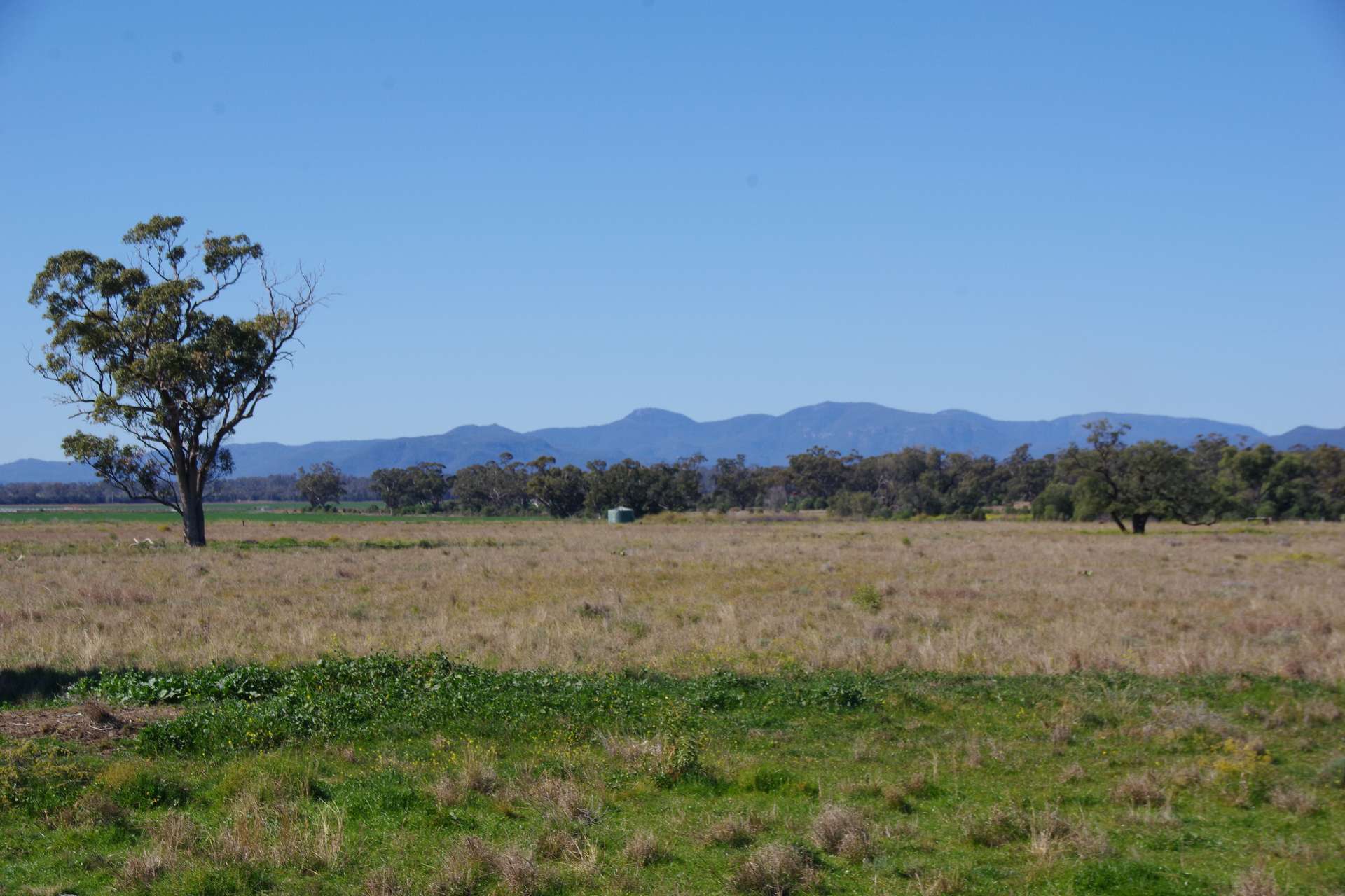 625 Logans Lane, Narrabri Auction by Farmbuy.com - image 3