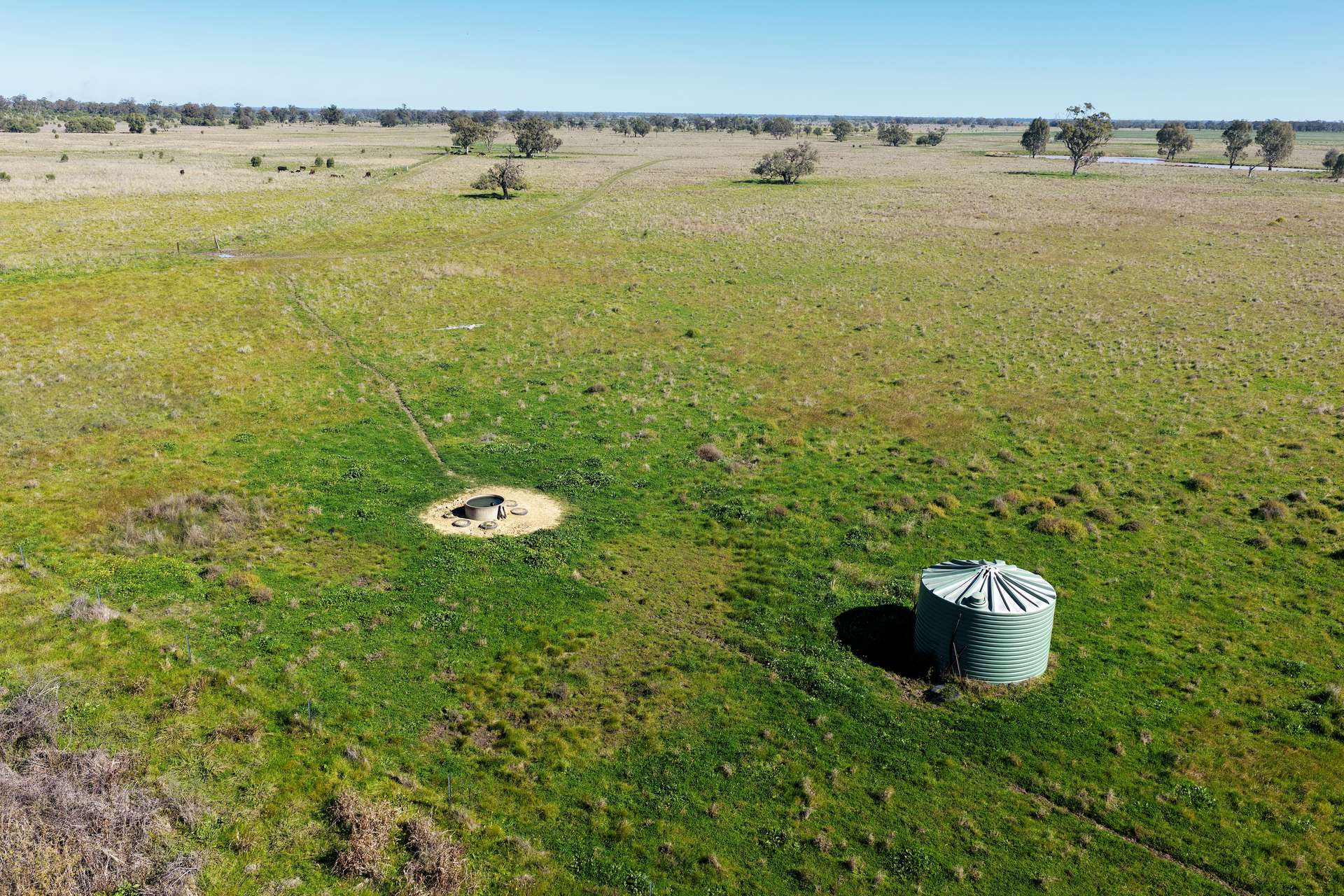 625 Logans Lane, Narrabri Auction by Farmbuy.com - image 11