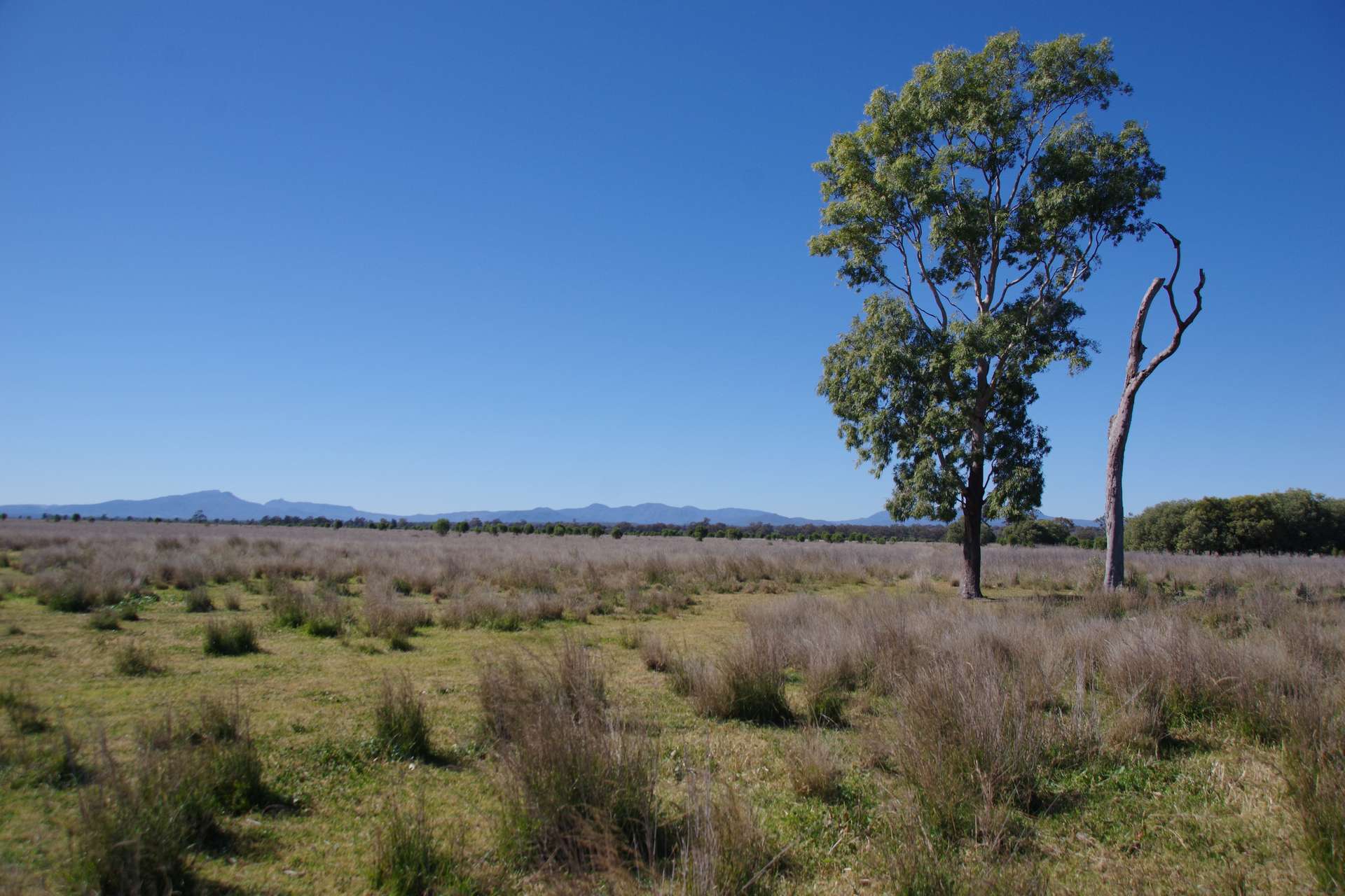625 Logans Lane, Narrabri Auction by Farmbuy.com - image 31