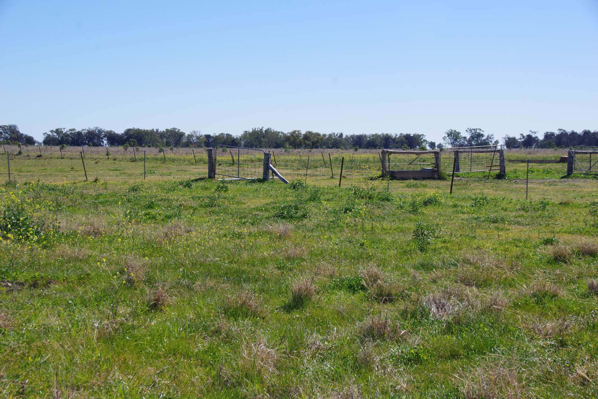 625 Logans Lane, Narrabri Auction by Farmbuy.com - image 32