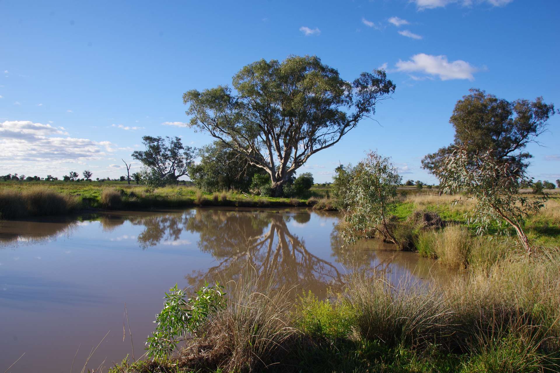 625 Logans Lane, Narrabri Auction by Farmbuy.com - image 27