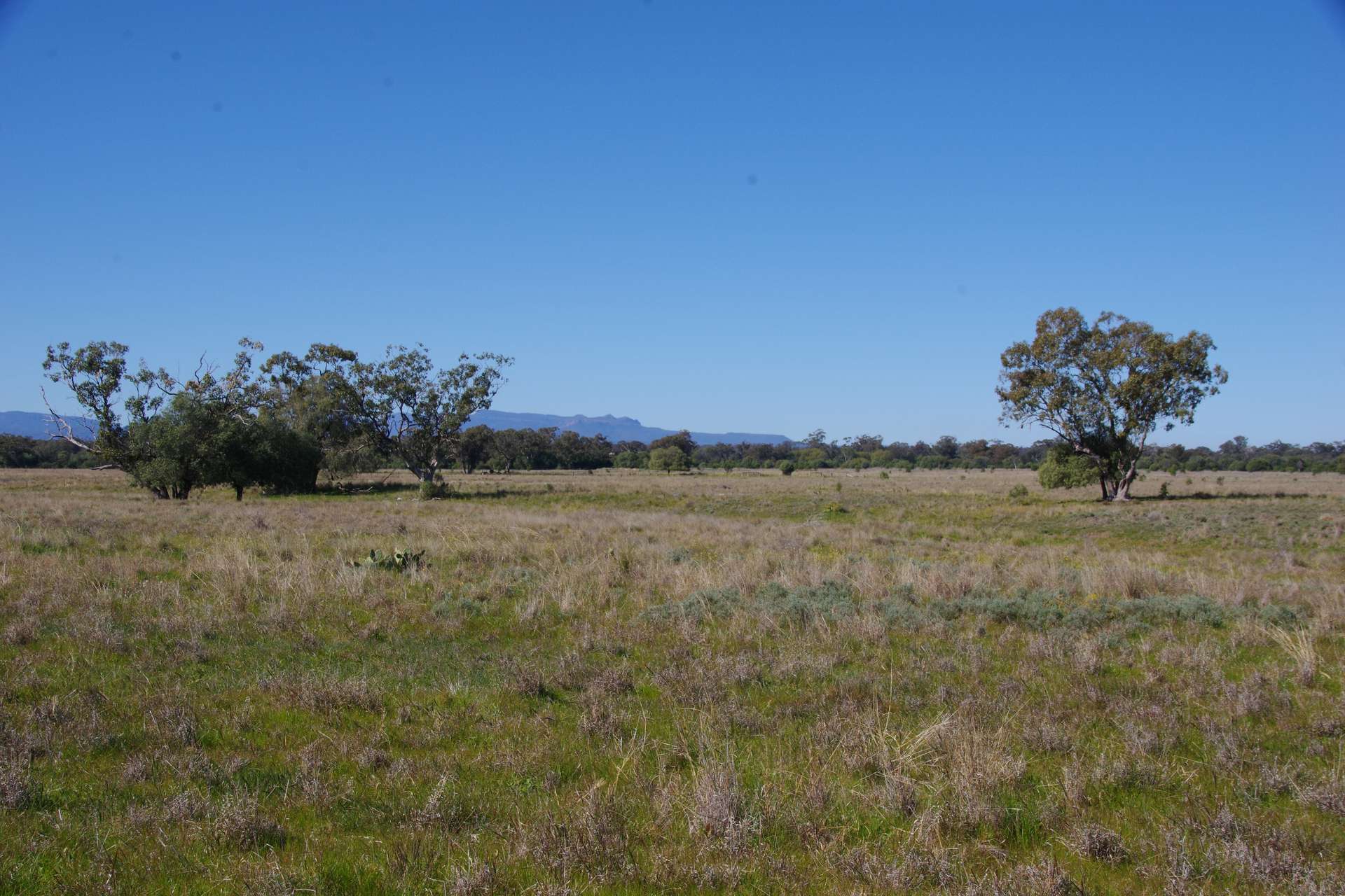 625 Logans Lane, Narrabri Auction by Farmbuy.com - image 34
