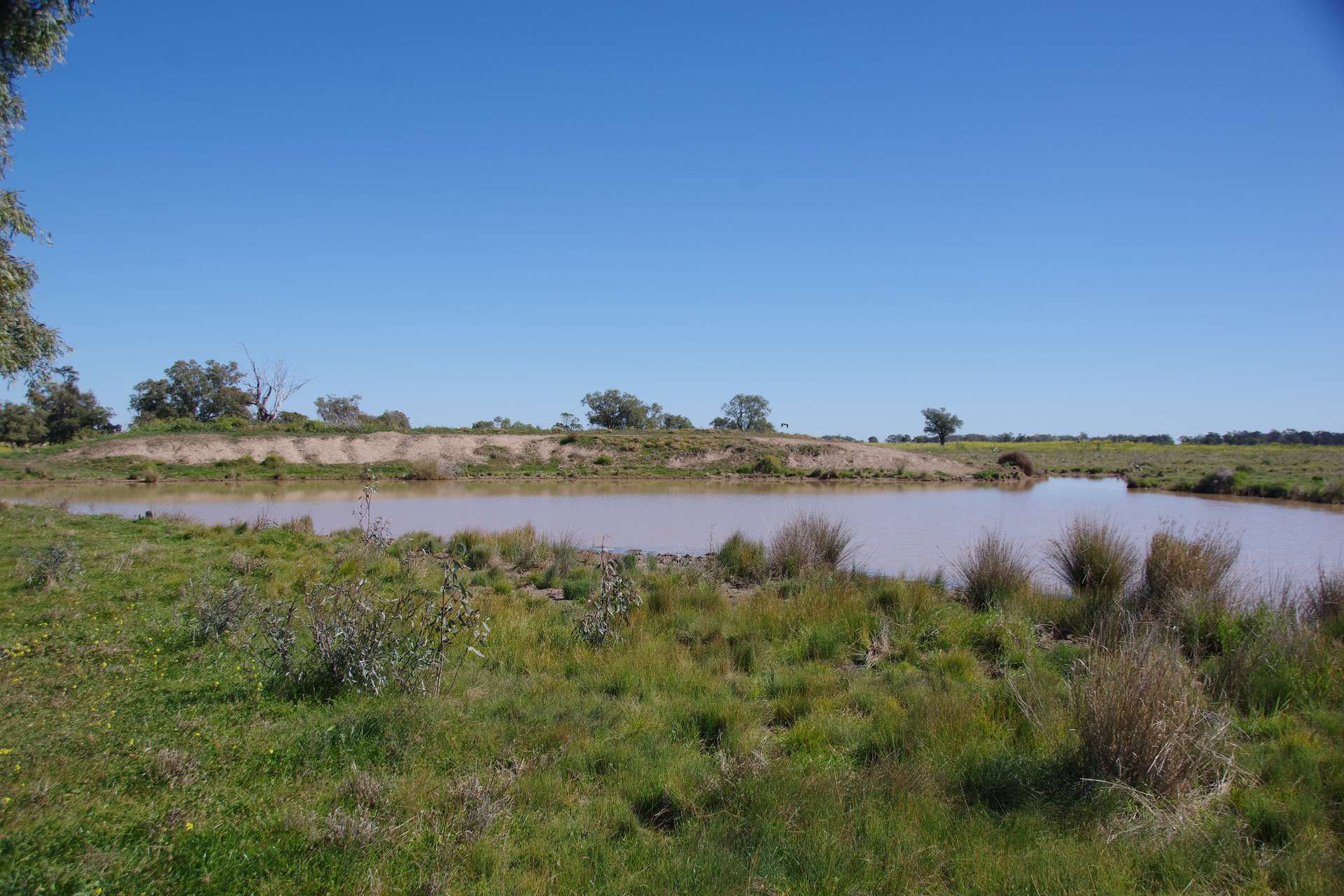625 Logans Lane, Narrabri Auction by Farmbuy.com - image 33