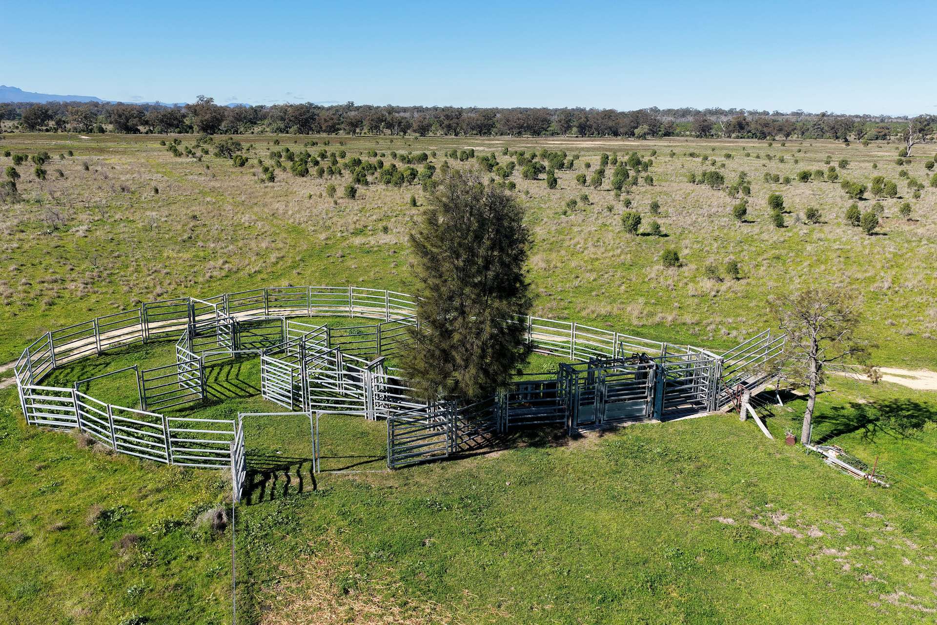 625 Logans Lane, Narrabri Auction by Farmbuy.com - image 10