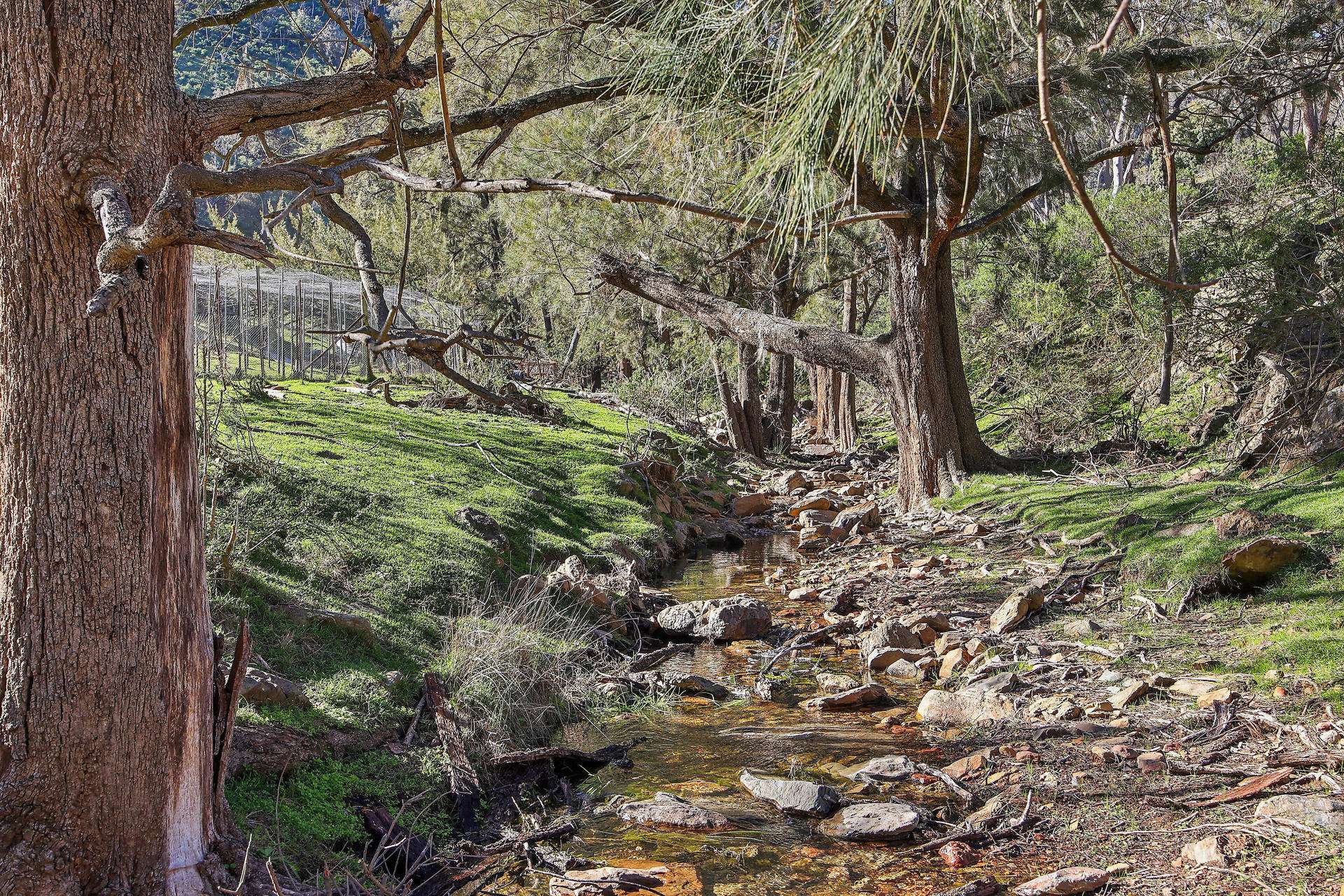 53 Peach Tree Lane, Mudgee Auction by Farmbuy.com - image 10