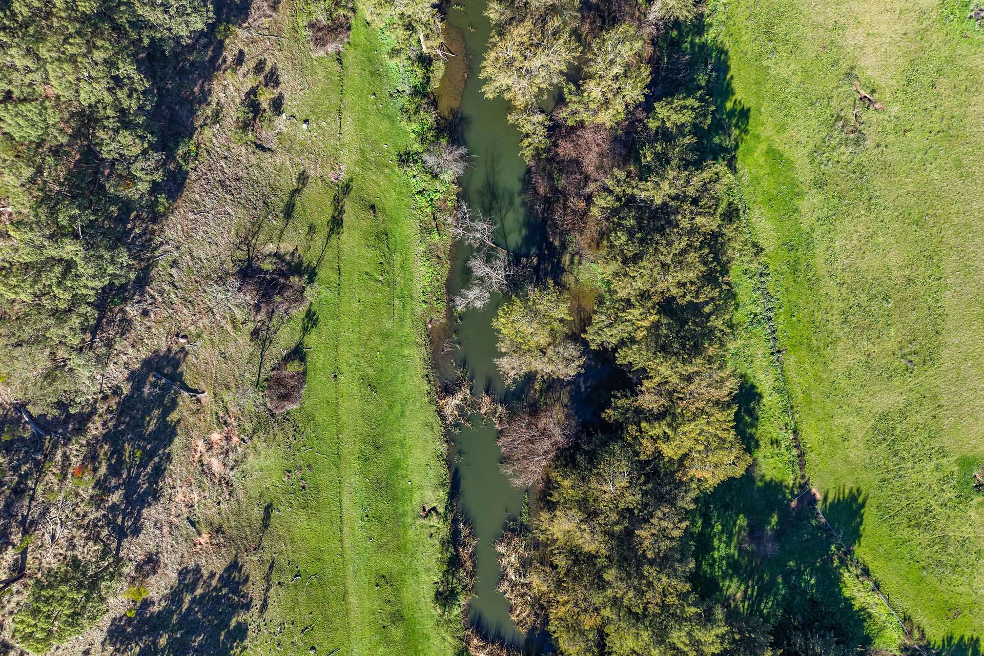 53 Peach Tree Lane, Mudgee Auction by Farmbuy.com - image 13