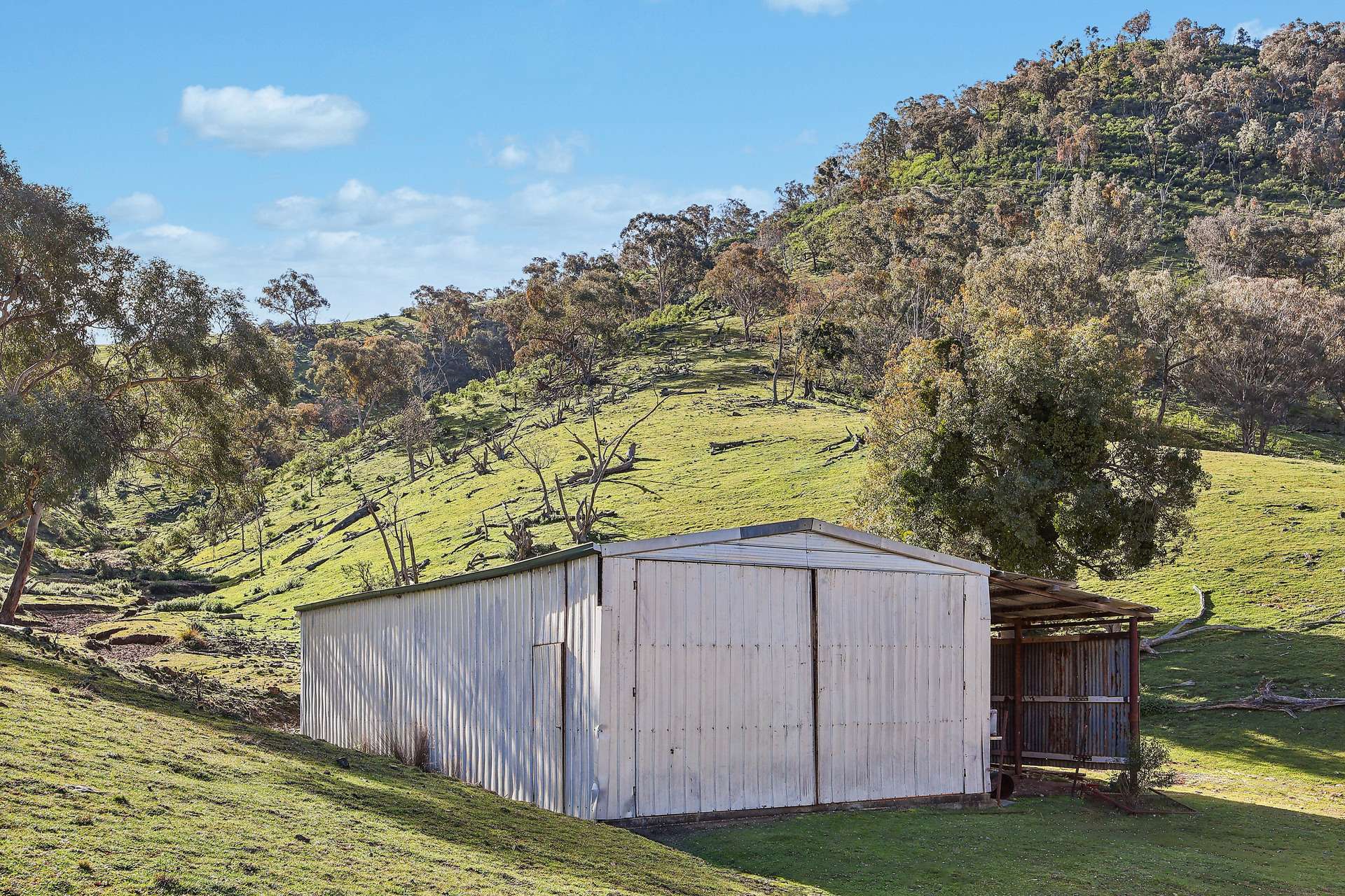 53 Peach Tree Lane, Mudgee Auction by Farmbuy.com - image 9