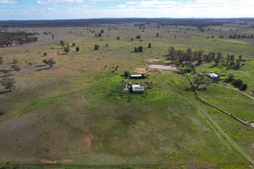 Farm For Sale - NSW - Tullamore - 2874 - "Derrygra" & "Barden Park" 462 Hockey Road, Tullamore 