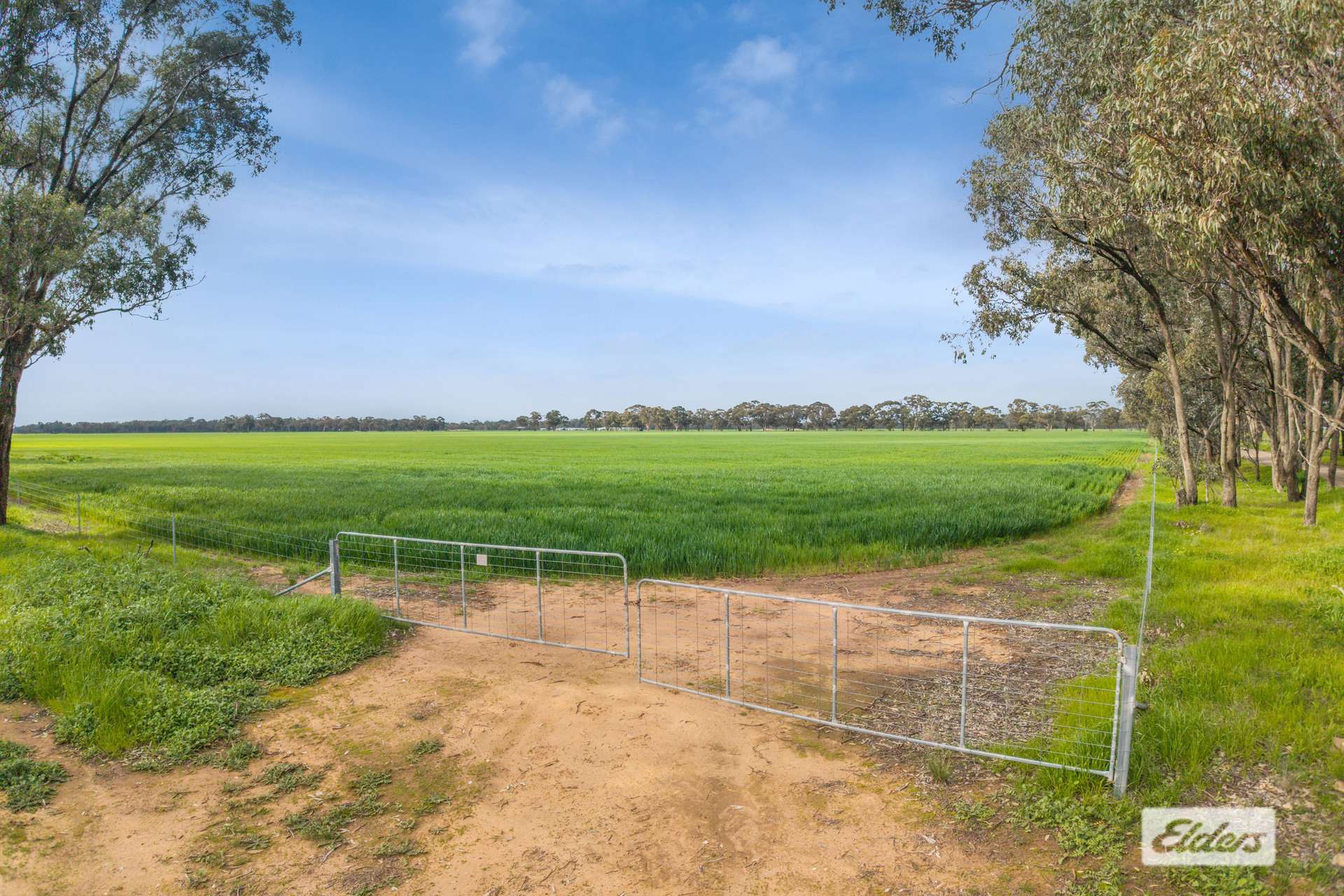 145 Wilsons Road, Leichardt For Sale by Farmbuy.com - image 12