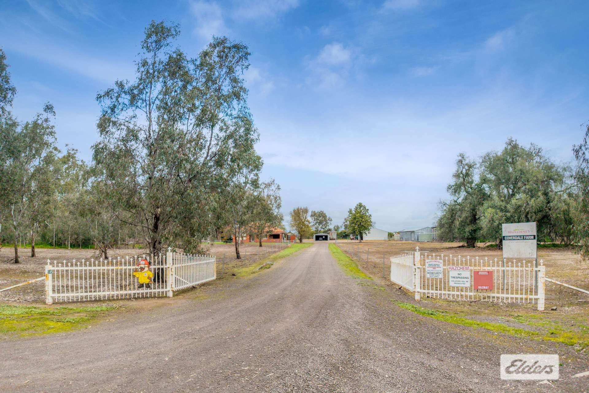 145 Wilsons Road, Leichardt For Sale by Farmbuy.com - image 4