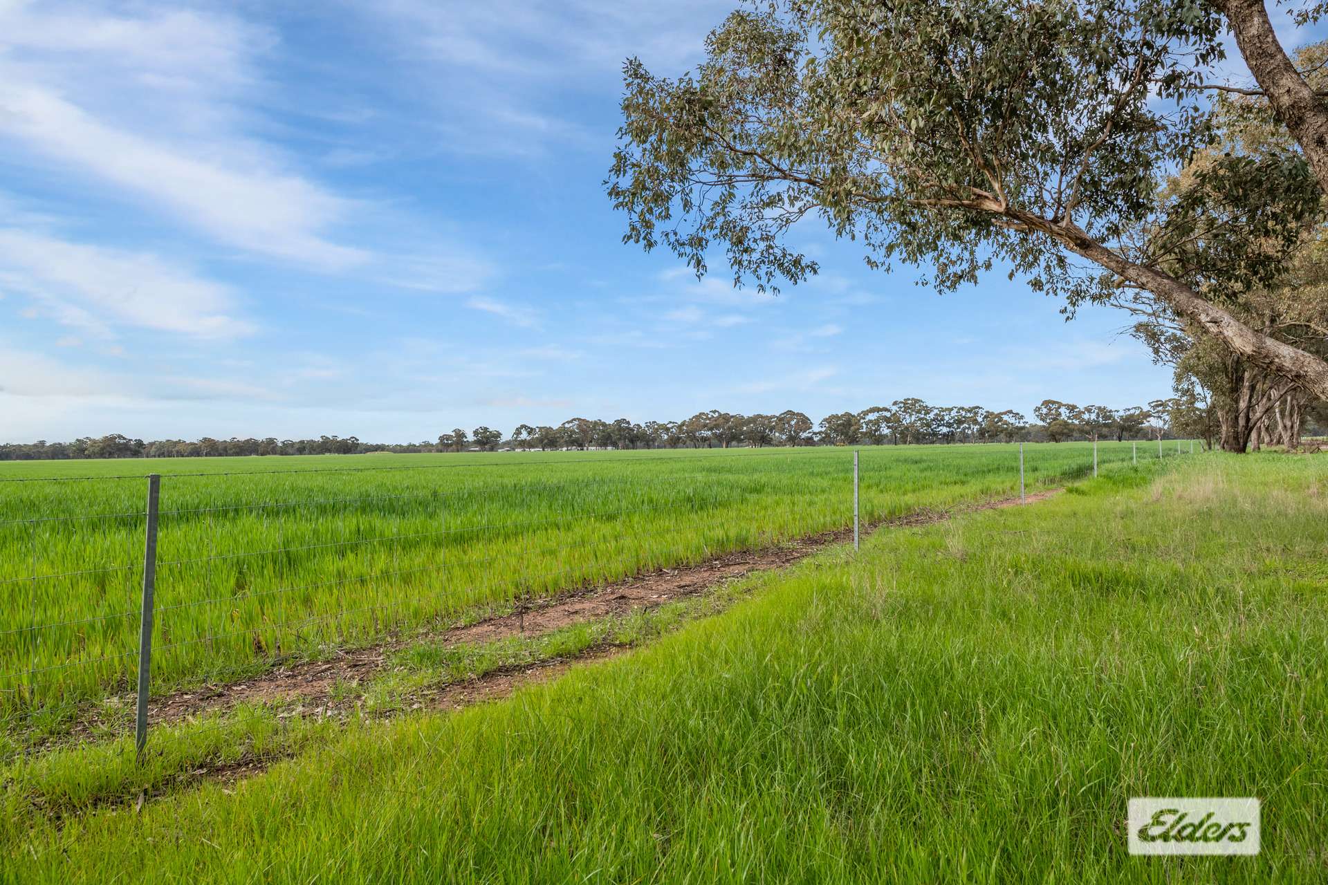 145 Wilsons Road, Leichardt For Sale by Farmbuy.com - image 14
