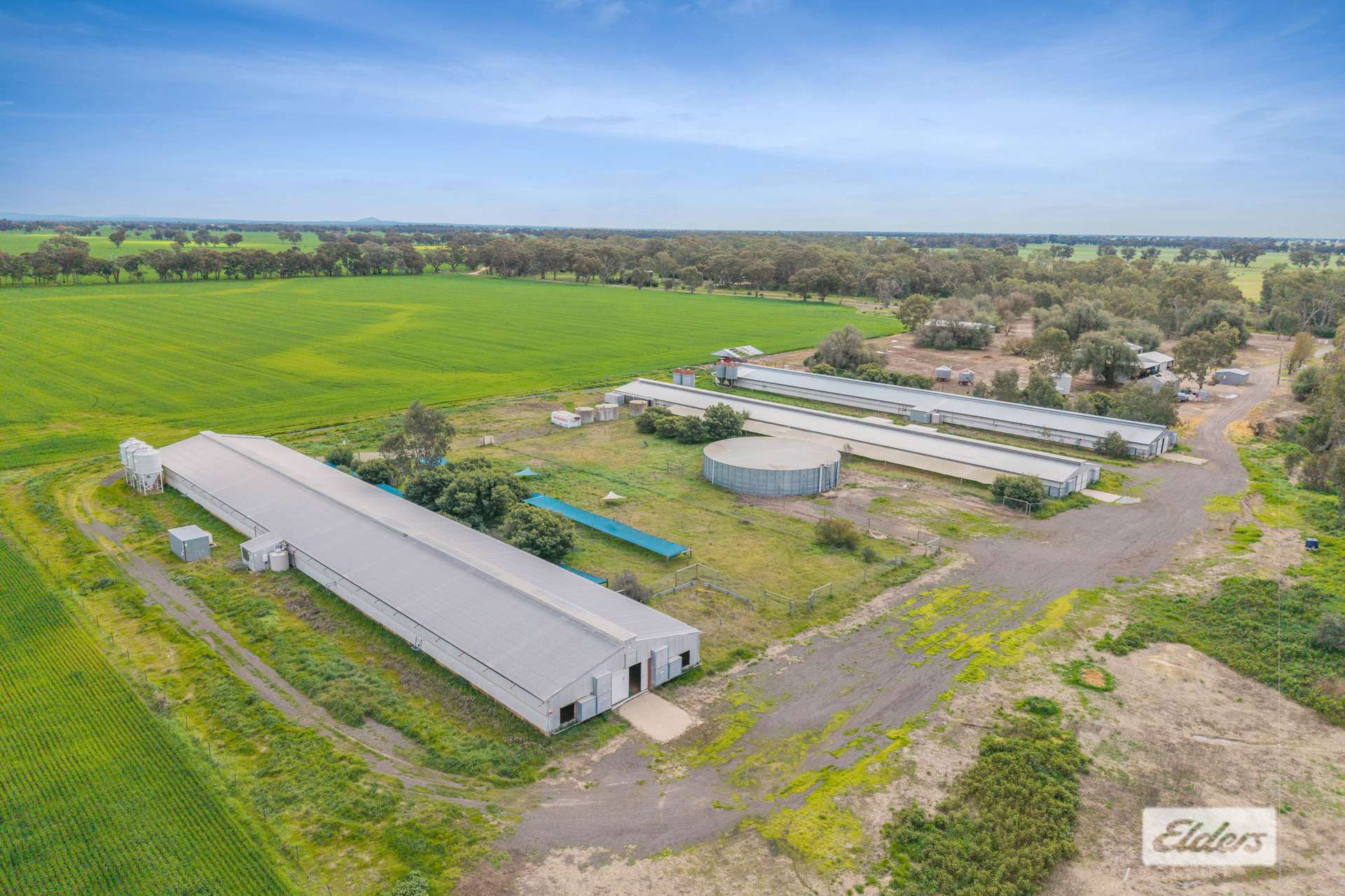 145 Wilsons Road, Leichardt For Sale by Farmbuy.com - image 5