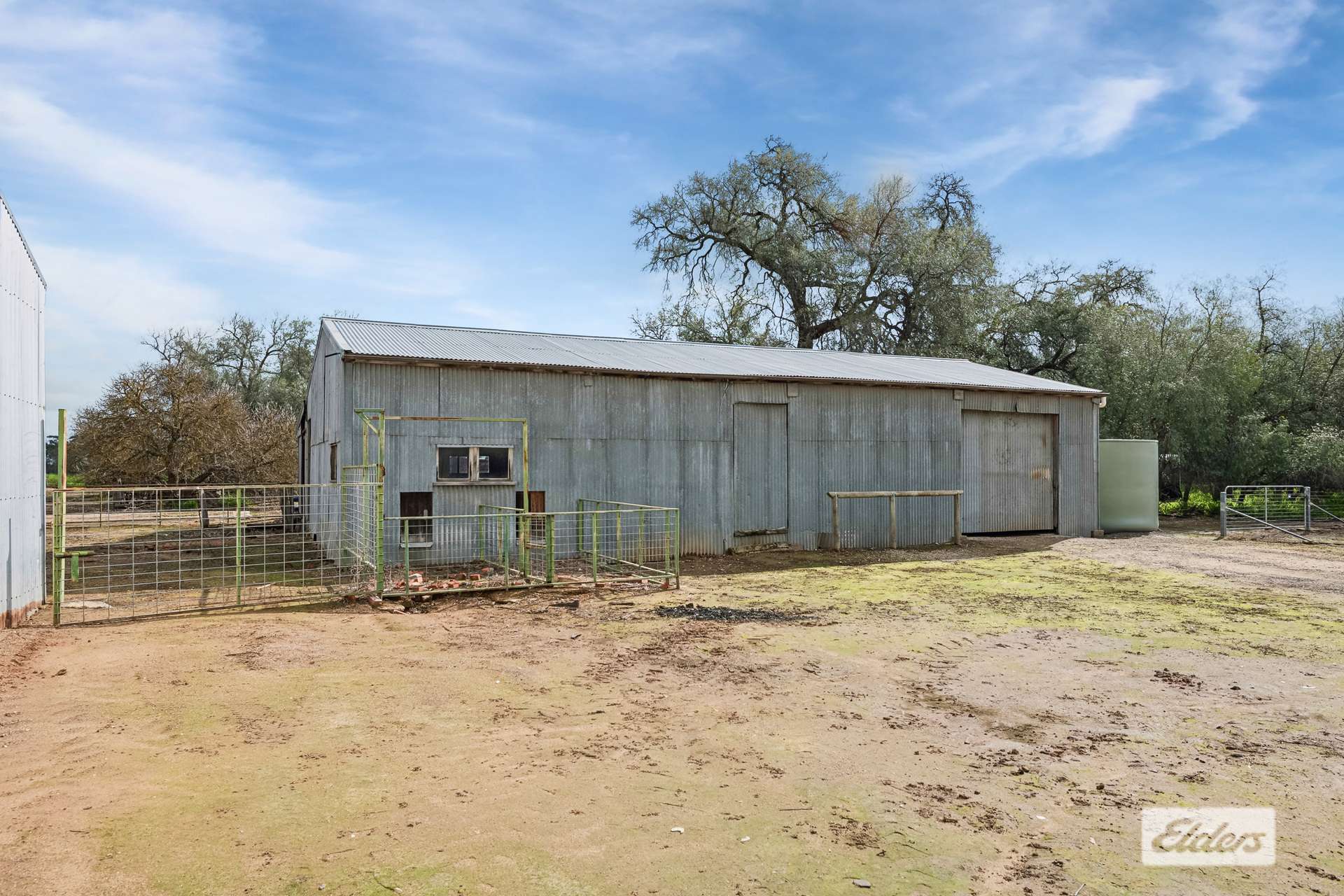 145 Wilsons Road, Leichardt For Sale by Farmbuy.com - image 8