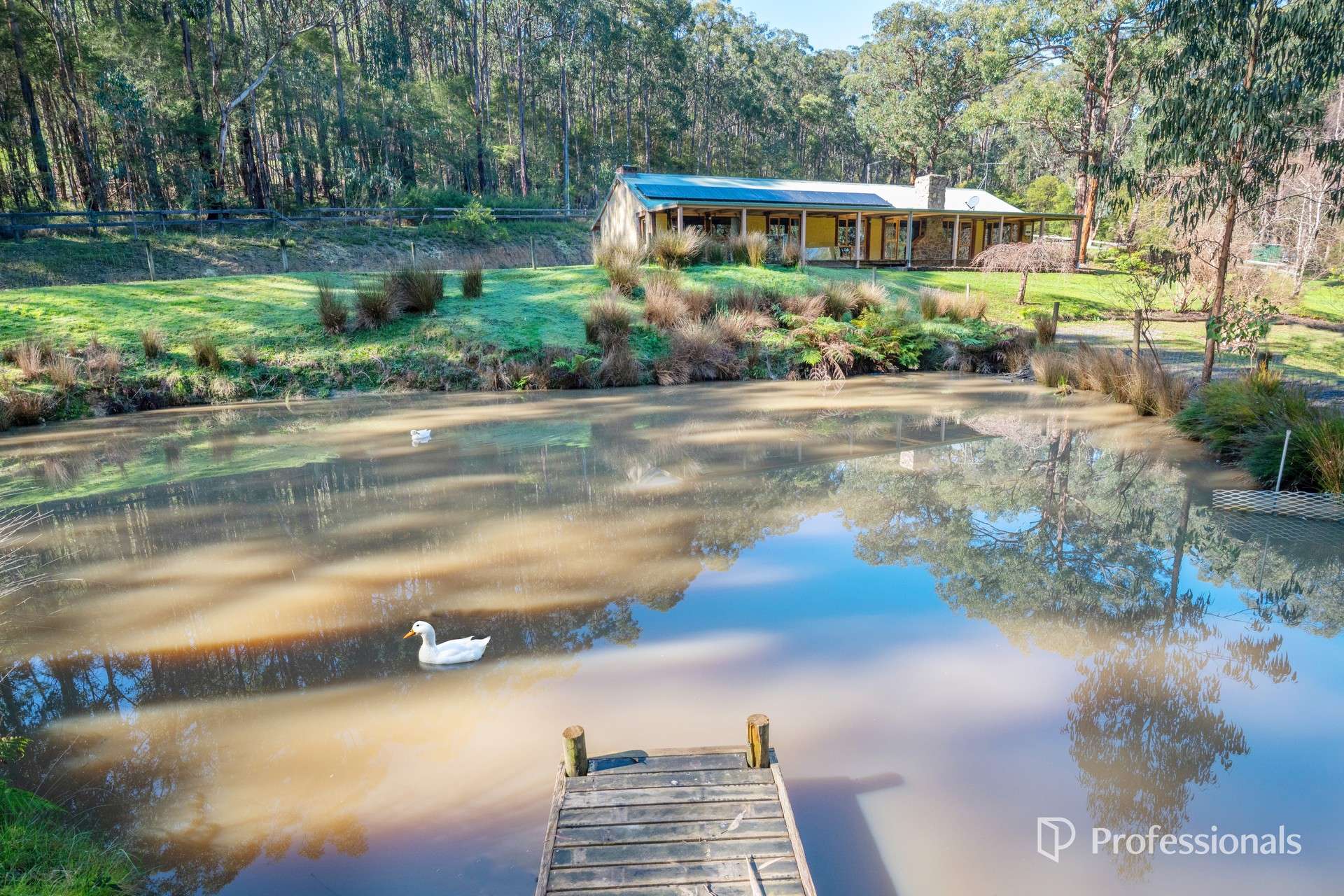 245 Milners Road, Launching Place For Sale by Farmbuy.com - image 32