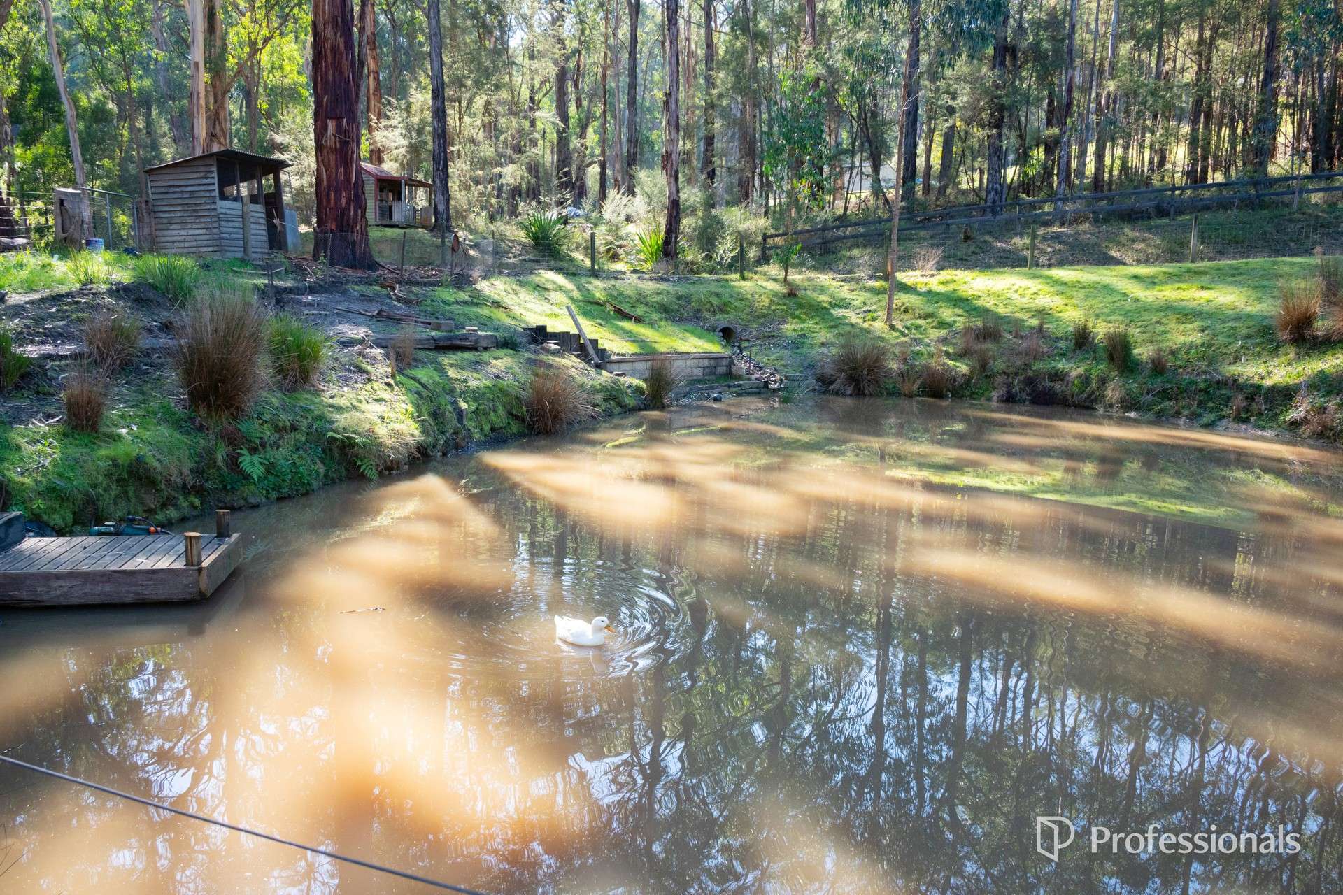245 Milners Road, Launching Place For Sale by Farmbuy.com - image 33