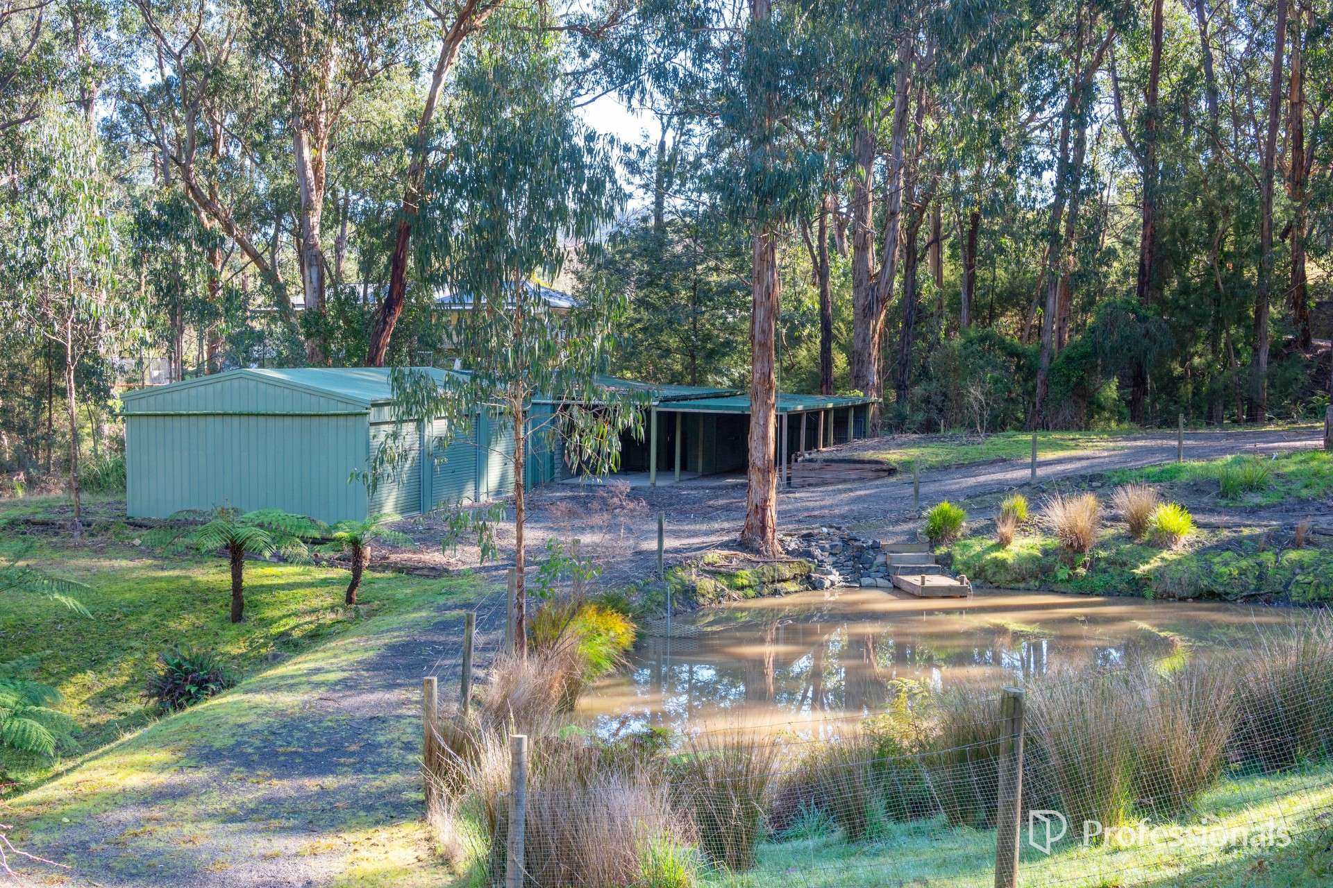 245 Milners Road, Launching Place For Sale by Farmbuy.com - image 35