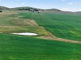 'Glen's' Cattle Station Road, Mount Bryan Auction by Ray White Rural South Australia 