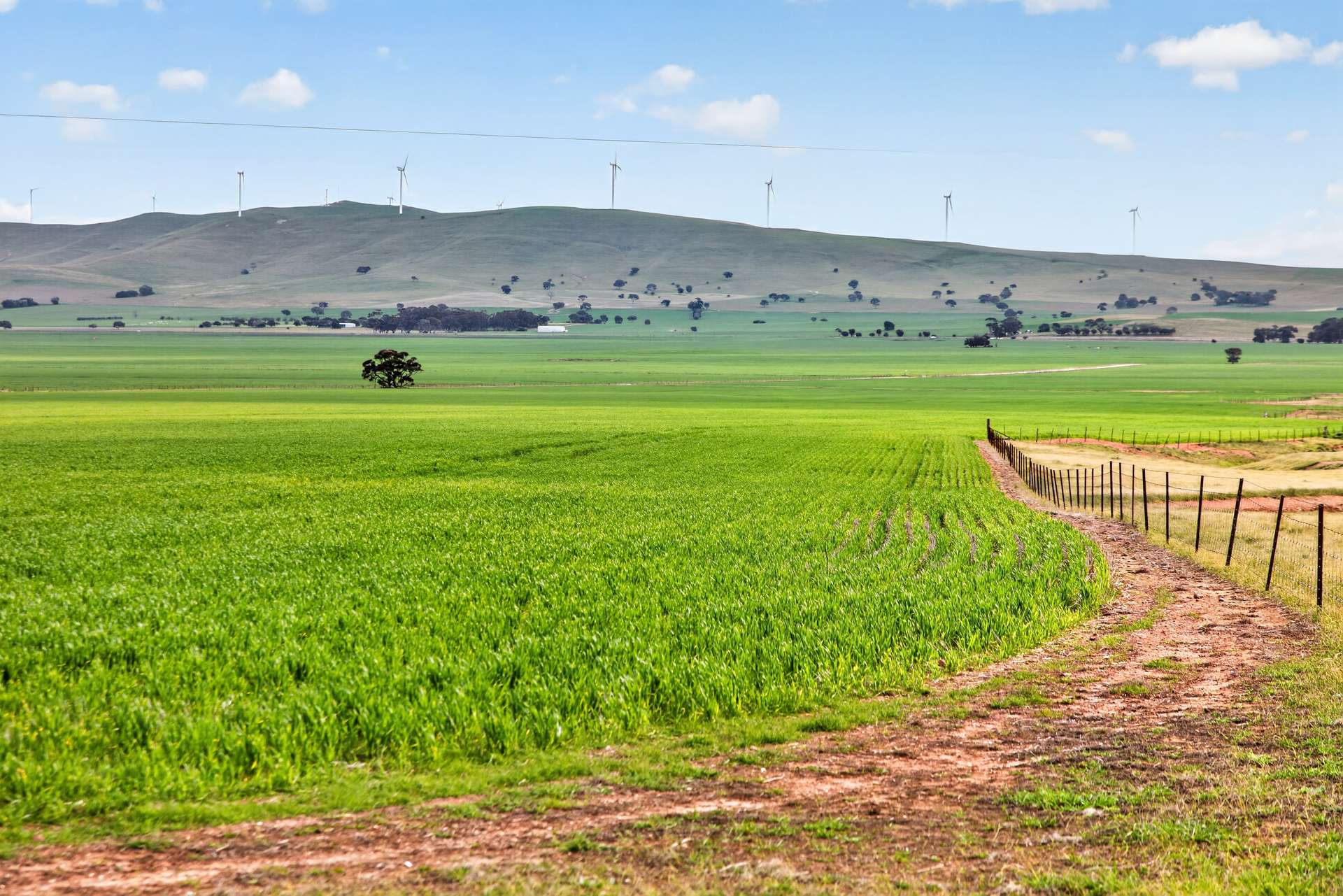 'Glen's' Cattle Station Road, Mount Bryan Auction by Farmbuy.com - image 6
