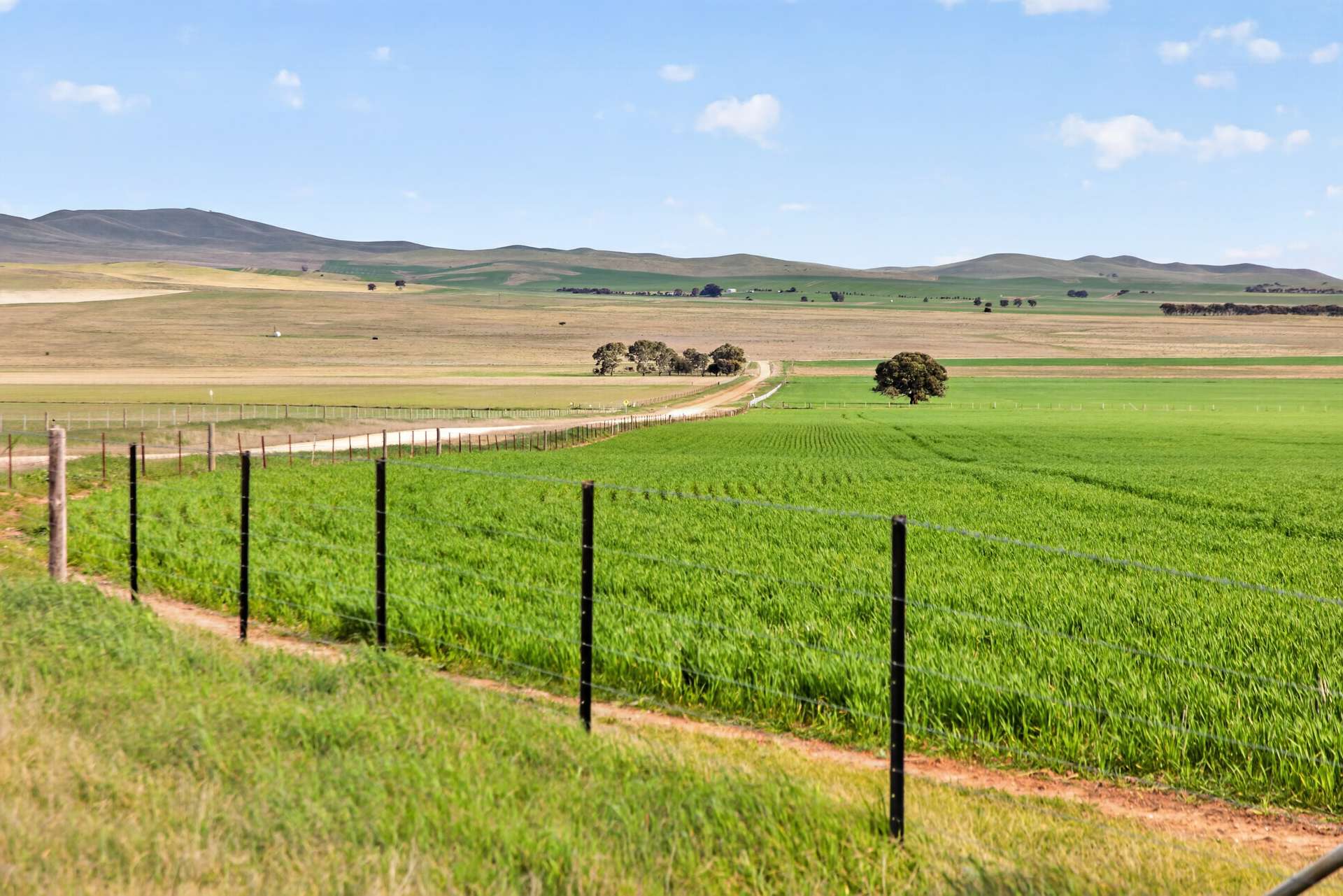 'Glen's' Cattle Station Road, Mount Bryan Auction by Farmbuy.com - image 7