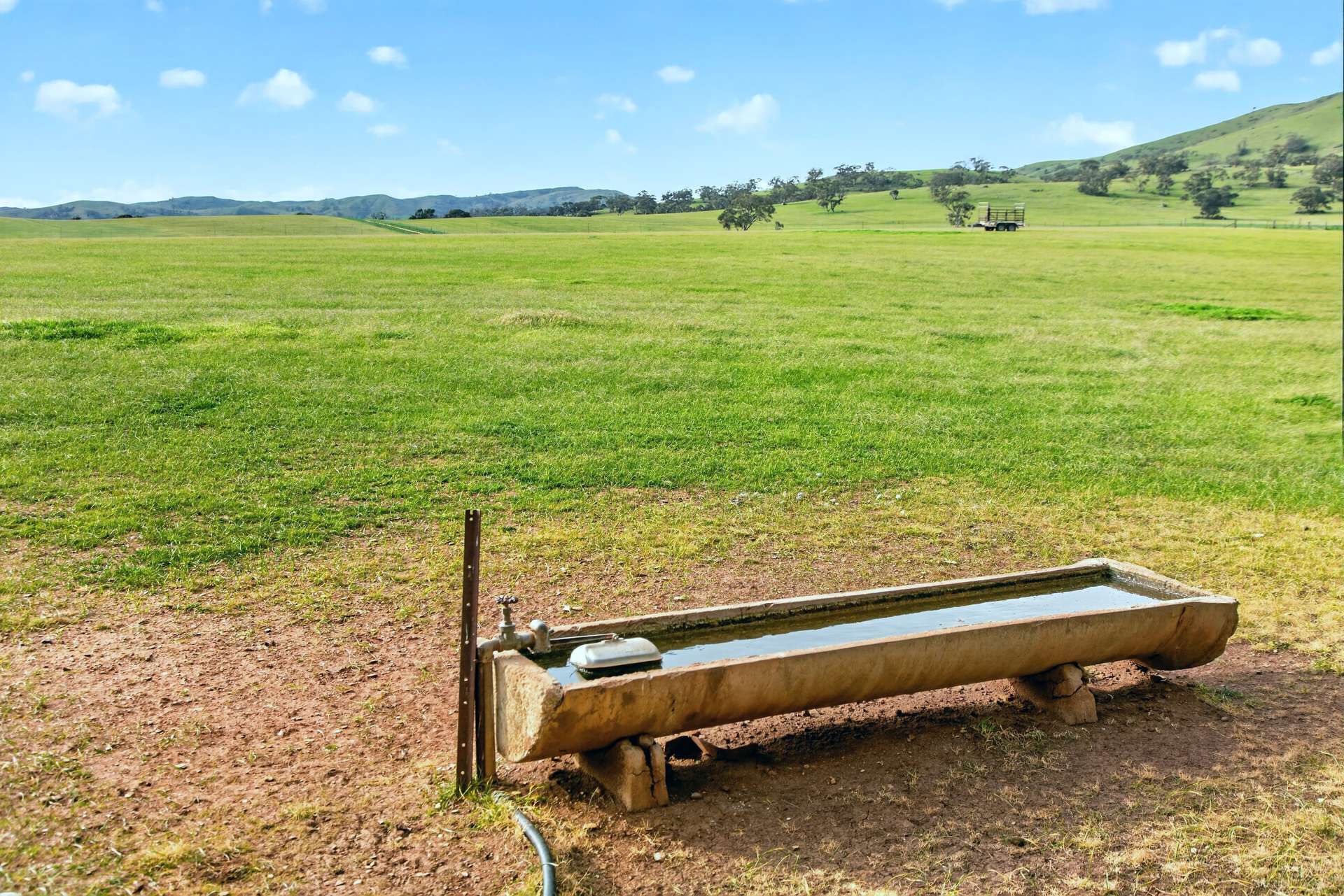 'Glen's' Cattle Station Road, Mount Bryan Auction by Farmbuy.com - image 11