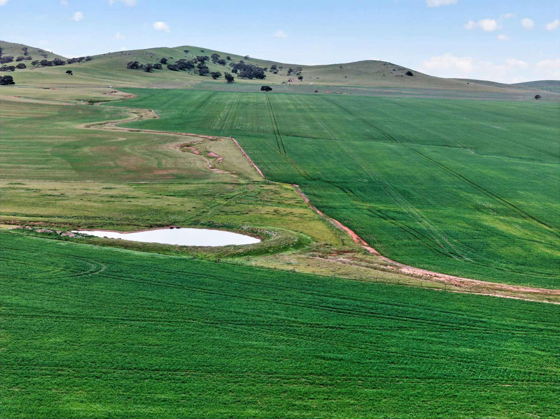 'Glen's' Cattle Station Road, Mount Bryan Auction by Farmbuy.com - image 1