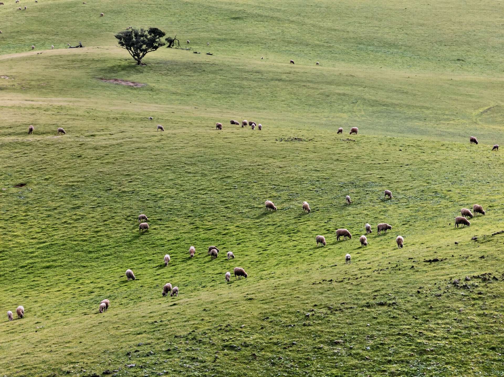 'Glen's' Cattle Station Road, Mount Bryan Auction by Farmbuy.com - image 9