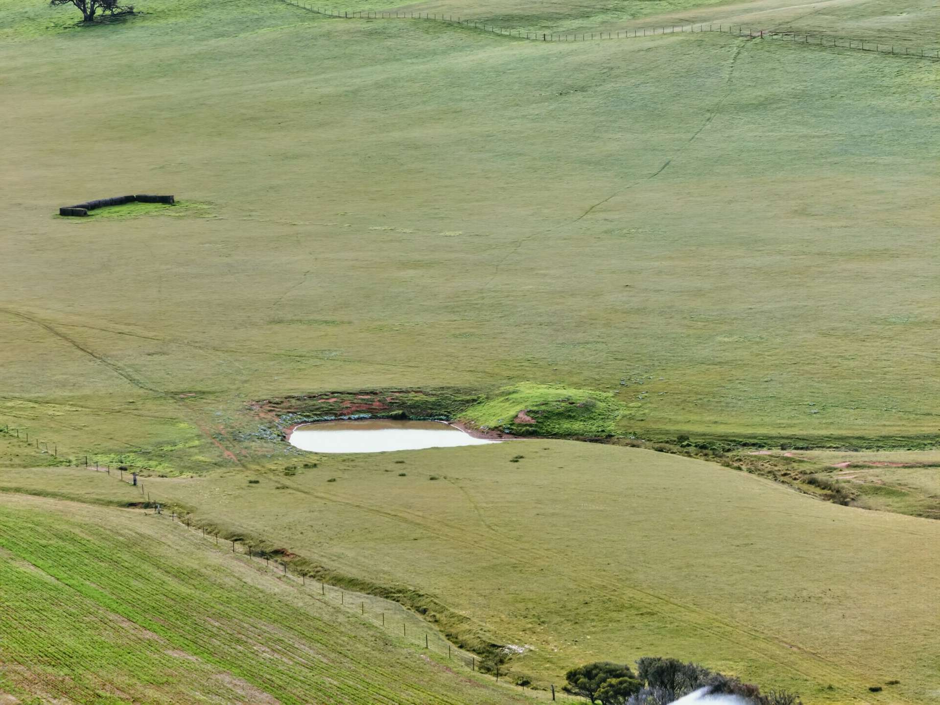'Glen's' Cattle Station Road, Mount Bryan Auction by Farmbuy.com - image 10