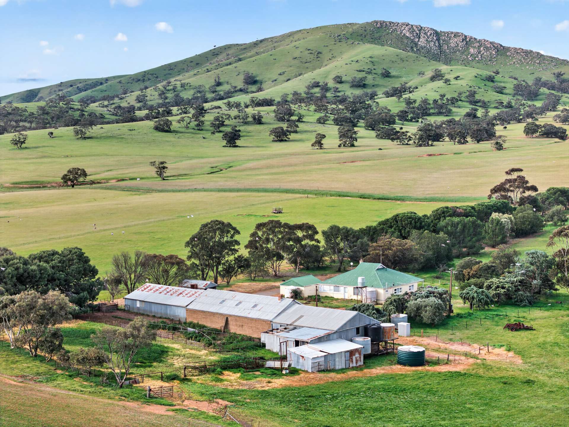 'Glen's' Cattle Station Road, Mount Bryan Auction by Farmbuy.com - image 3