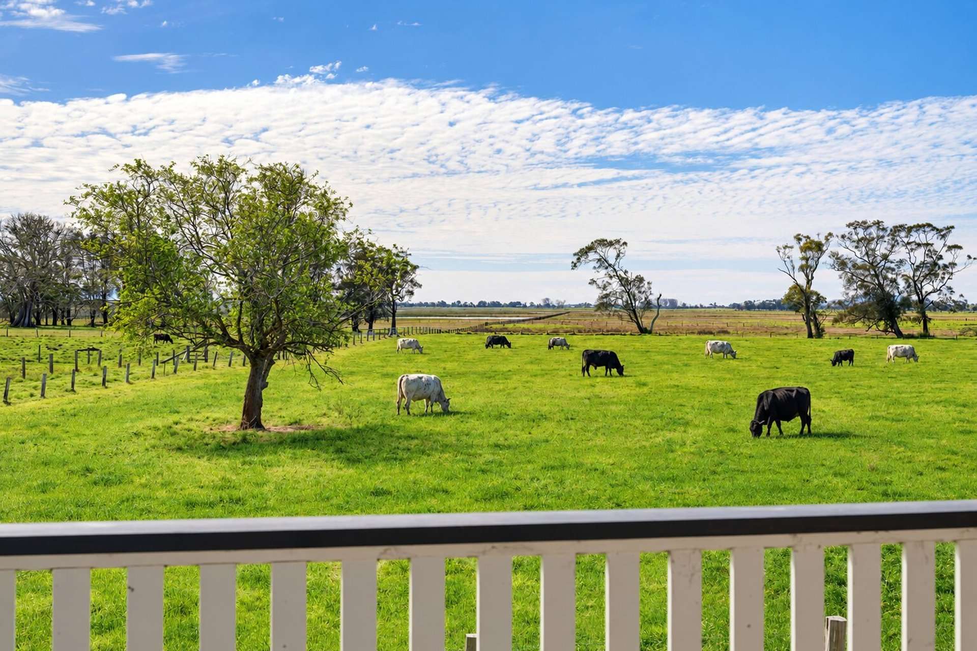 46 Upper Belmore River Road, Belmore River For Sale by Farmbuy.com - image 23