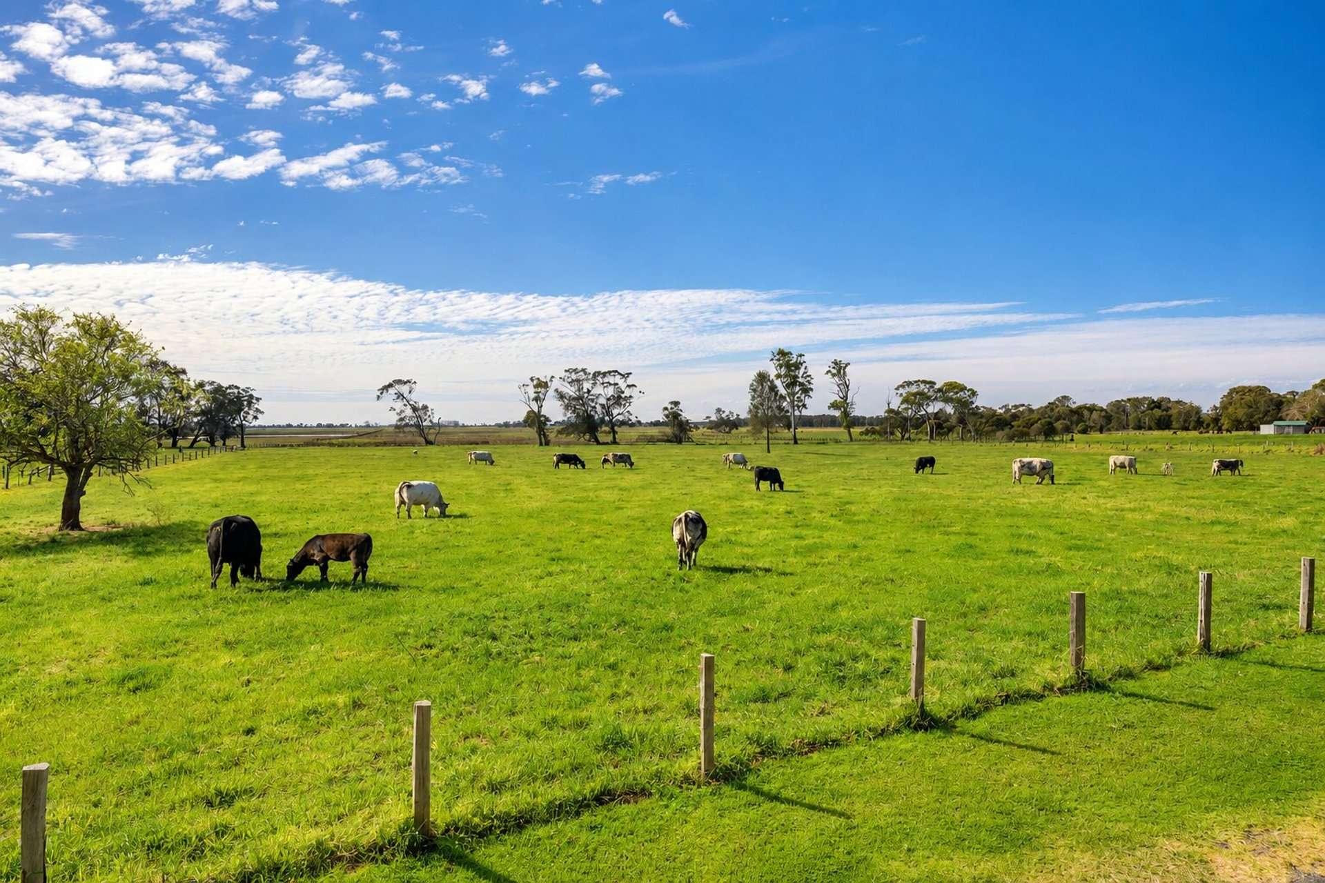 46 Upper Belmore River Road, Belmore River For Sale by Farmbuy.com - image 26