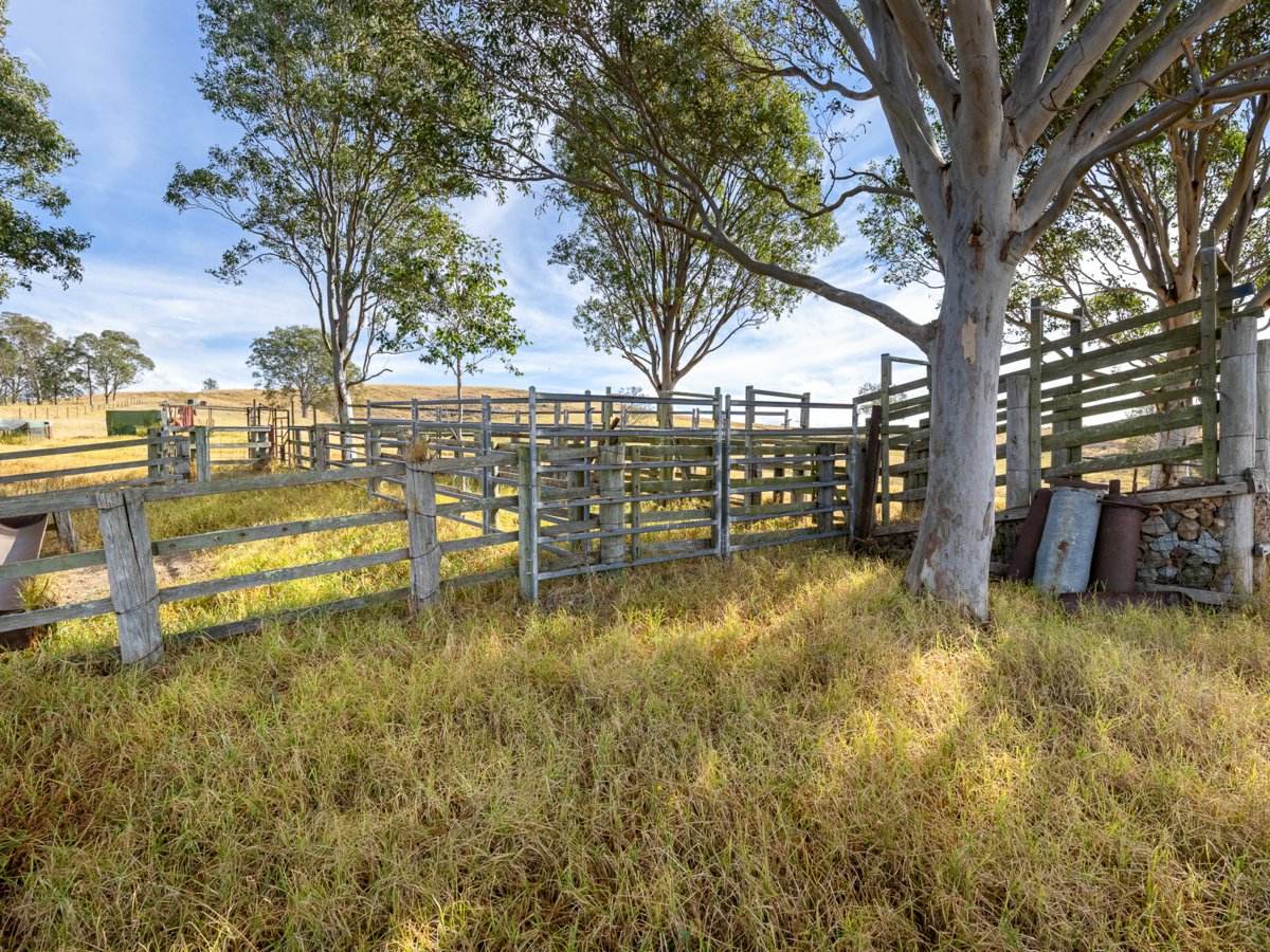 1274 Mogilla Road, Mogilla For Sale by Farmbuy.com - image 16