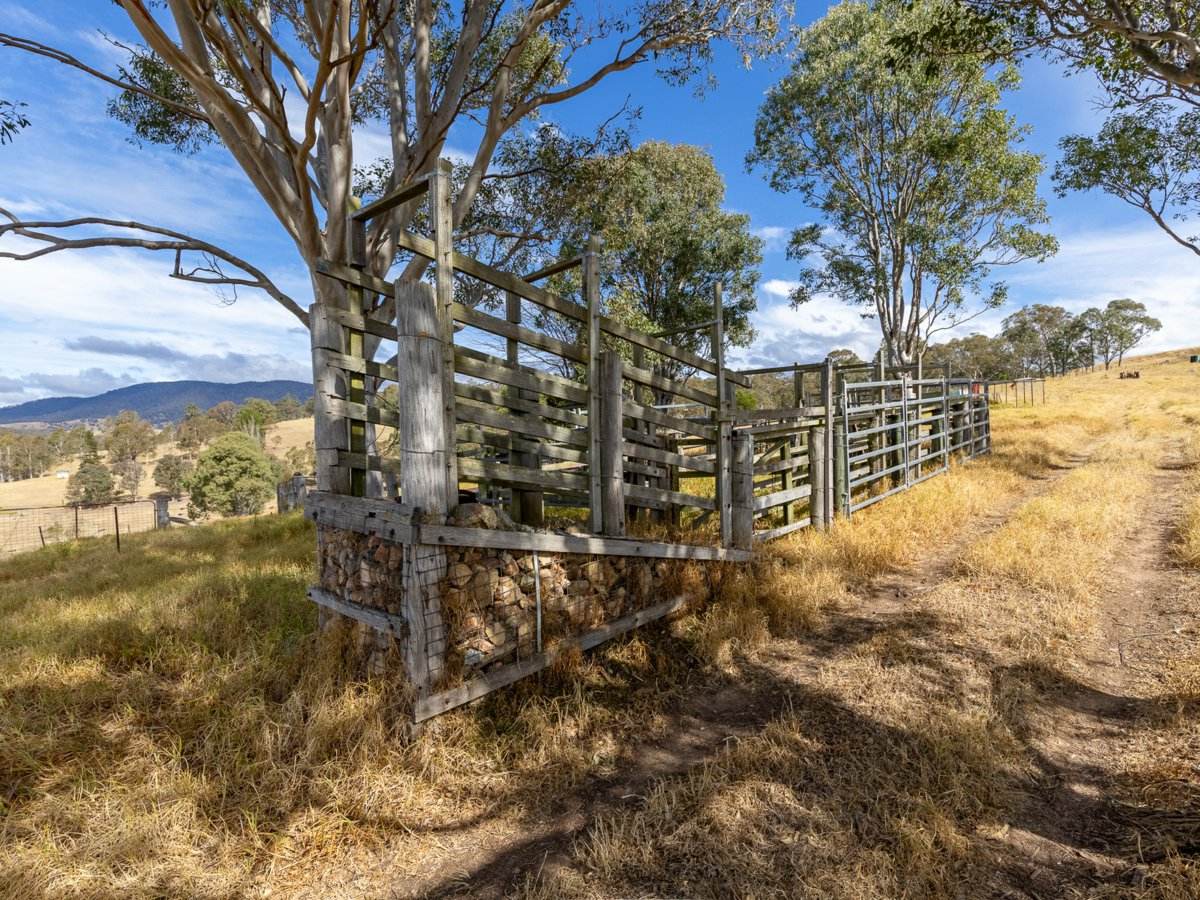 1274 Mogilla Road, Mogilla For Sale by Farmbuy.com - image 15
