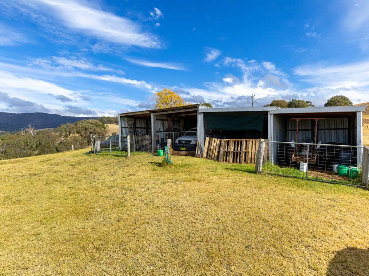 1274 Mogilla Road, Mogilla For Sale by Farmbuy.com - image 14