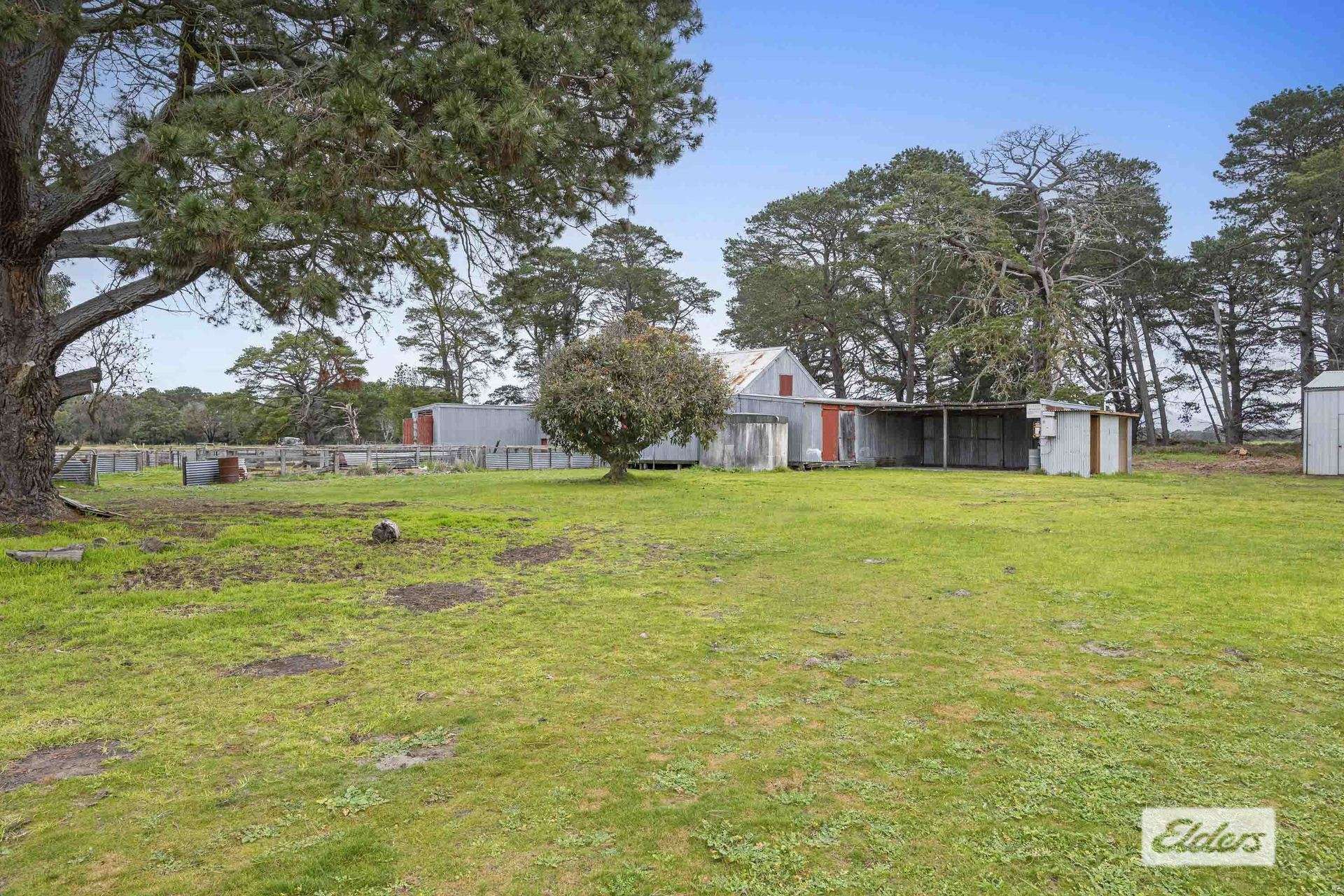 112 Lynches Crossing Road, Bornes Hill For Sale by Farmbuy.com - image 19