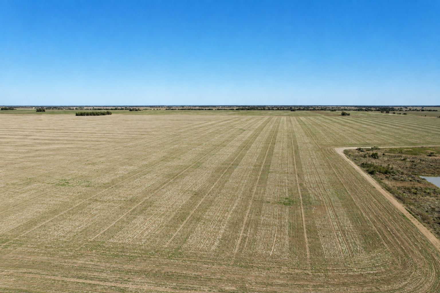 1522 Tullagrie Road, Tara Auction by Farmbuy.com - image 1