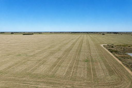 Farm Auction - QLD - Tara - 4421 - Auction 