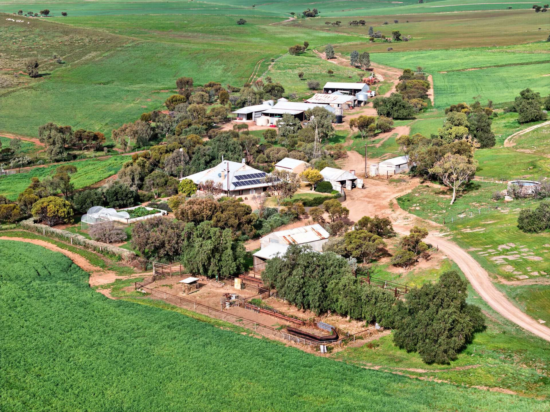 467 Depot Flat Road, Yarrah Auction by Farmbuy.com - image 2