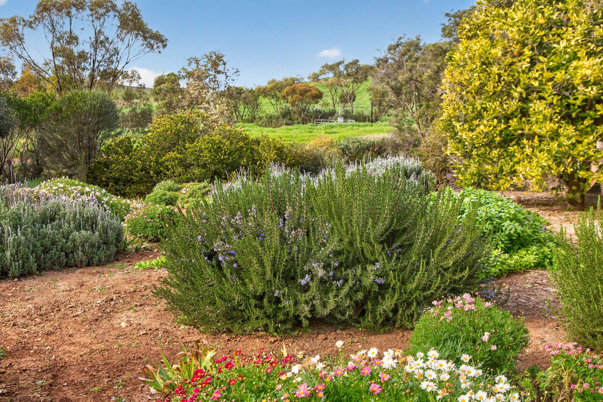 467 Depot Flat Road, Yarrah Auction by Farmbuy.com - image 25