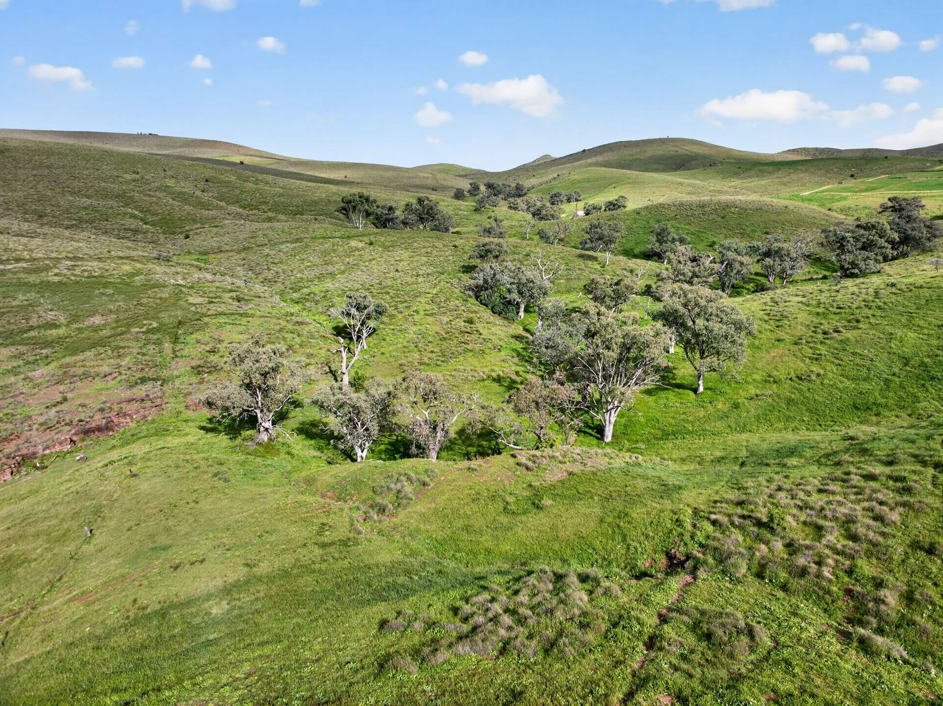 467 Depot Flat Road, Yarrah Auction by Farmbuy.com - image 12