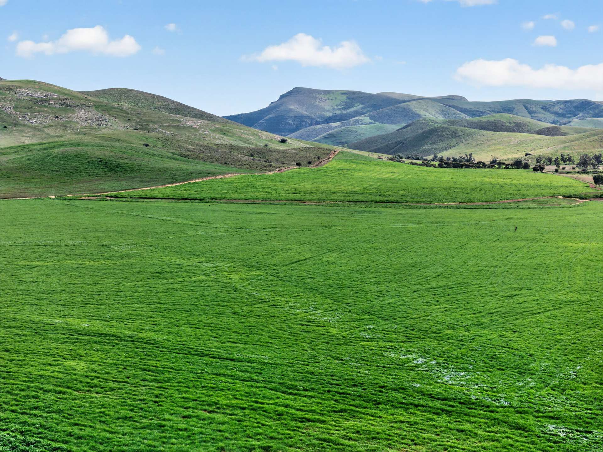 467 Depot Flat Road, Yarrah Auction by Farmbuy.com - image 10