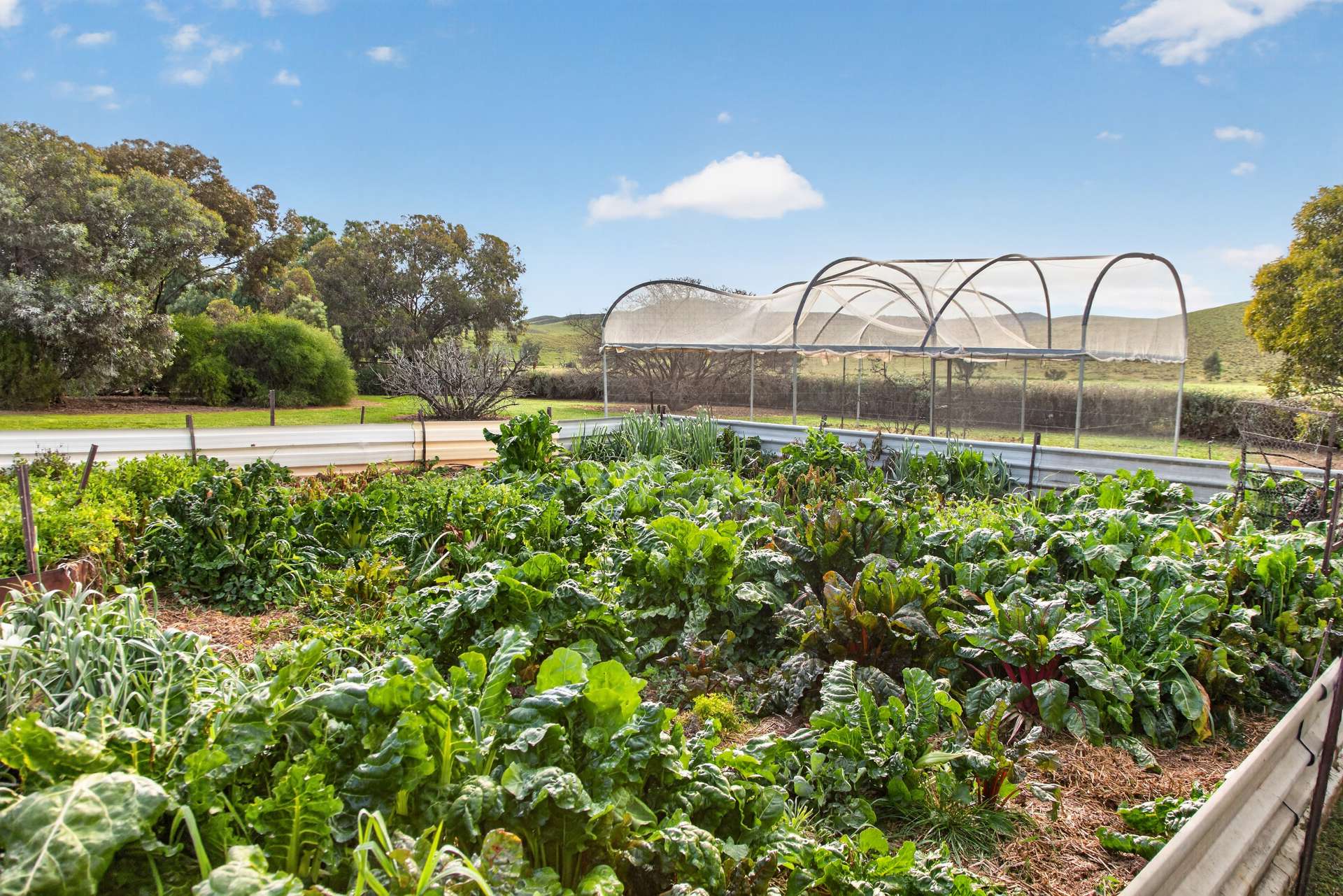 467 Depot Flat Road, Yarrah Auction by Farmbuy.com - image 26