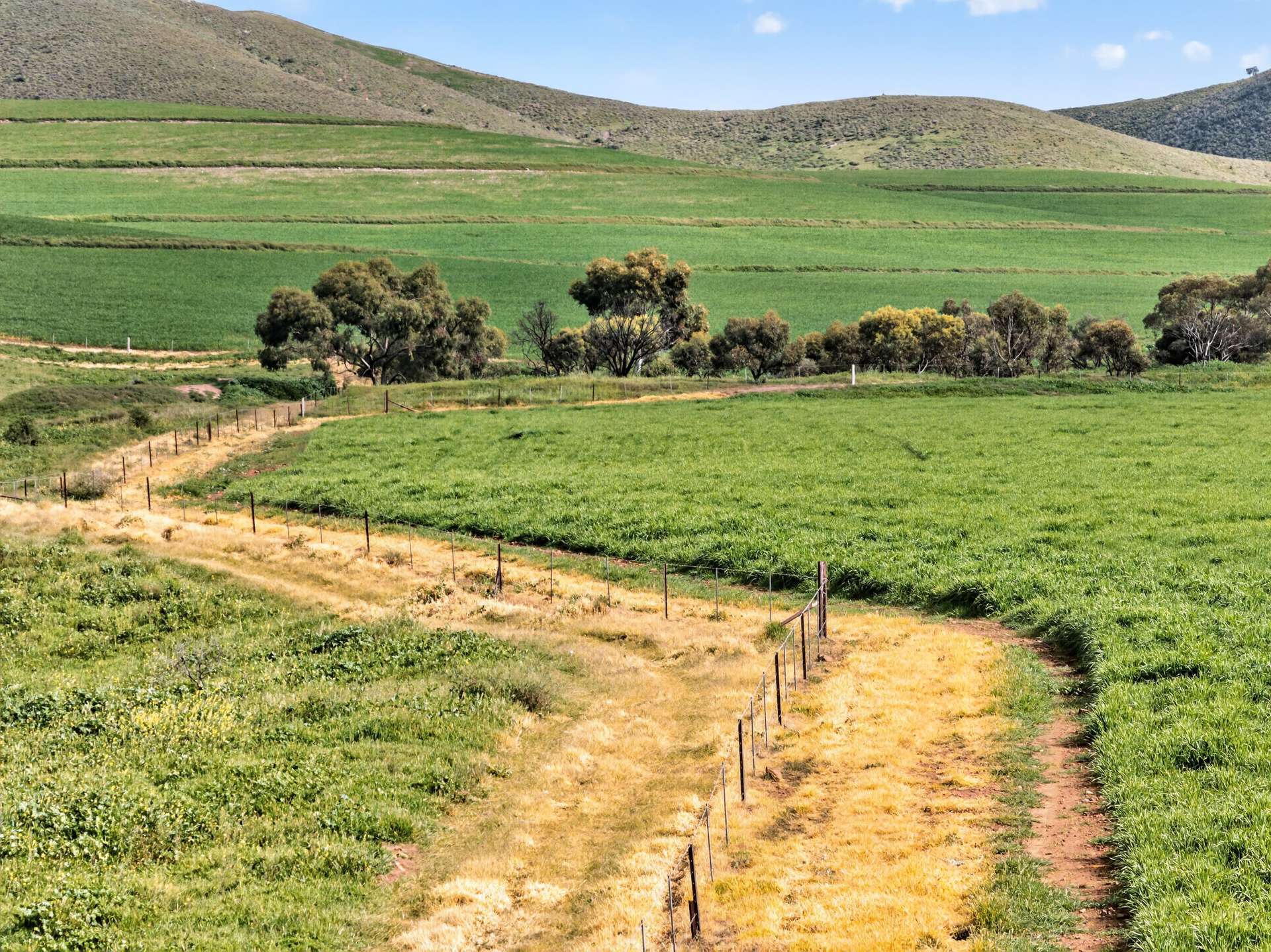 467 Depot Flat Road, Yarrah Auction by Farmbuy.com - image 13