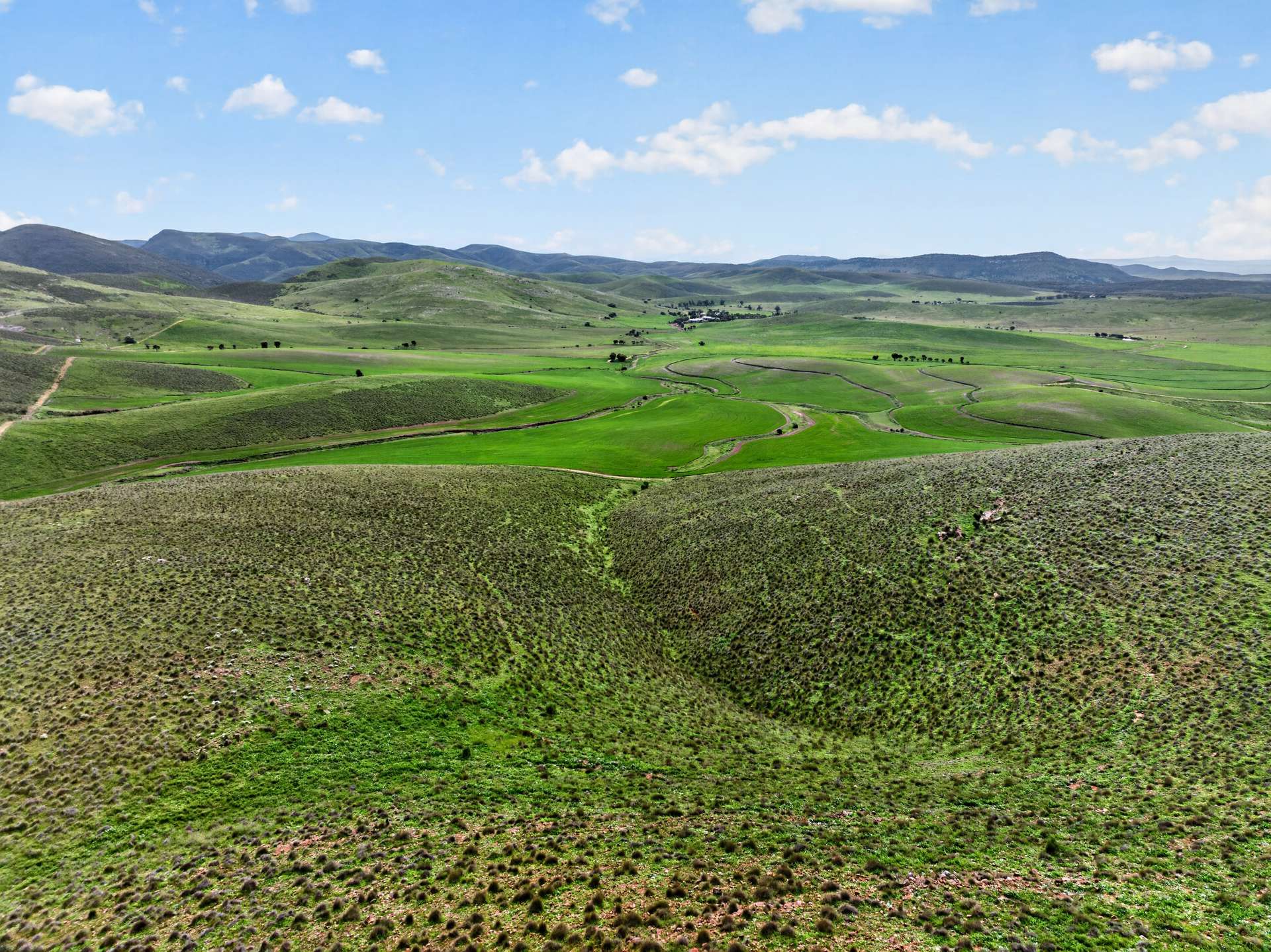 467 Depot Flat Road, Yarrah Auction by Farmbuy.com - image 14